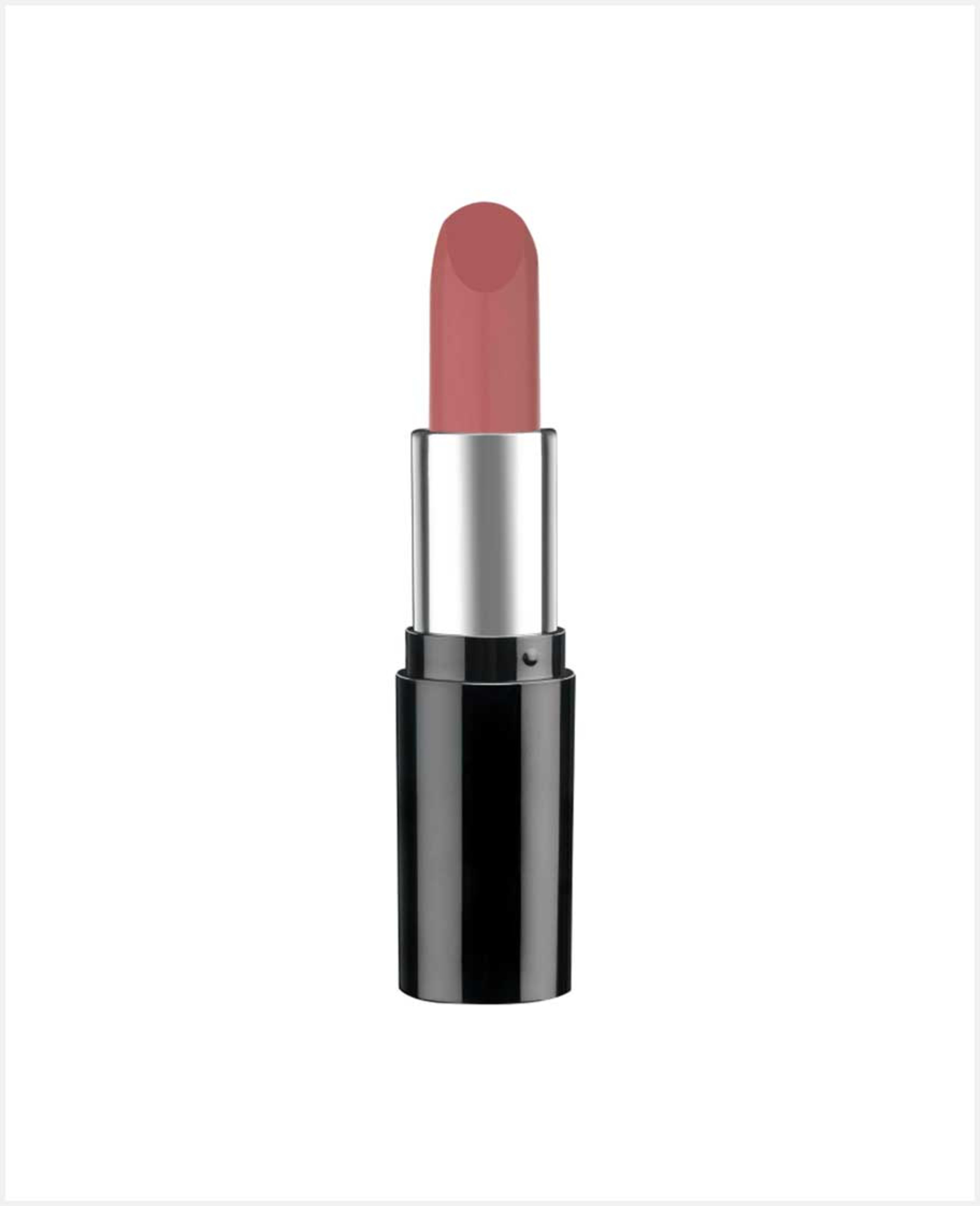 Pastel Nude Lipstick 541 4.3gm