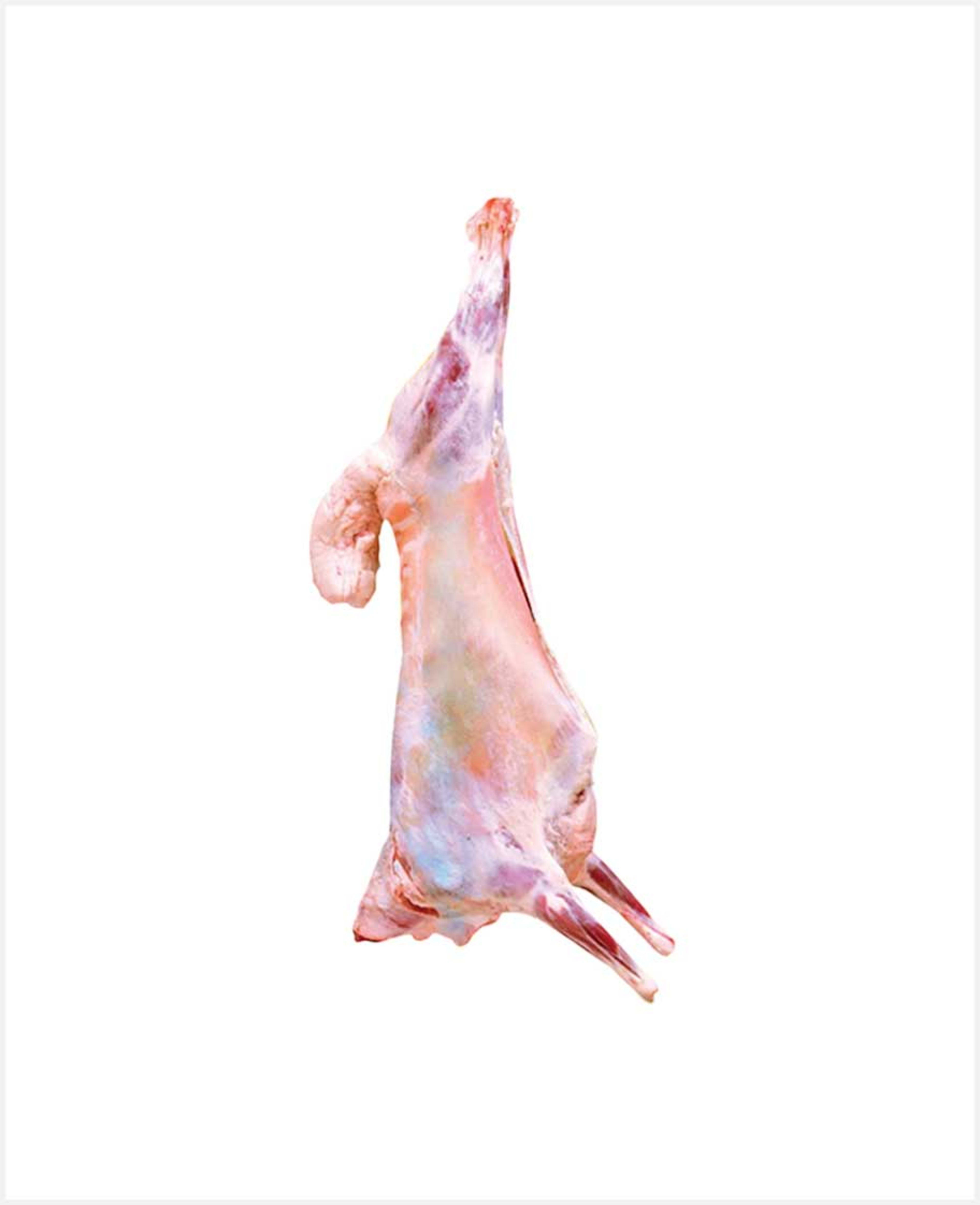 Arabic Lamb Whole Carcass