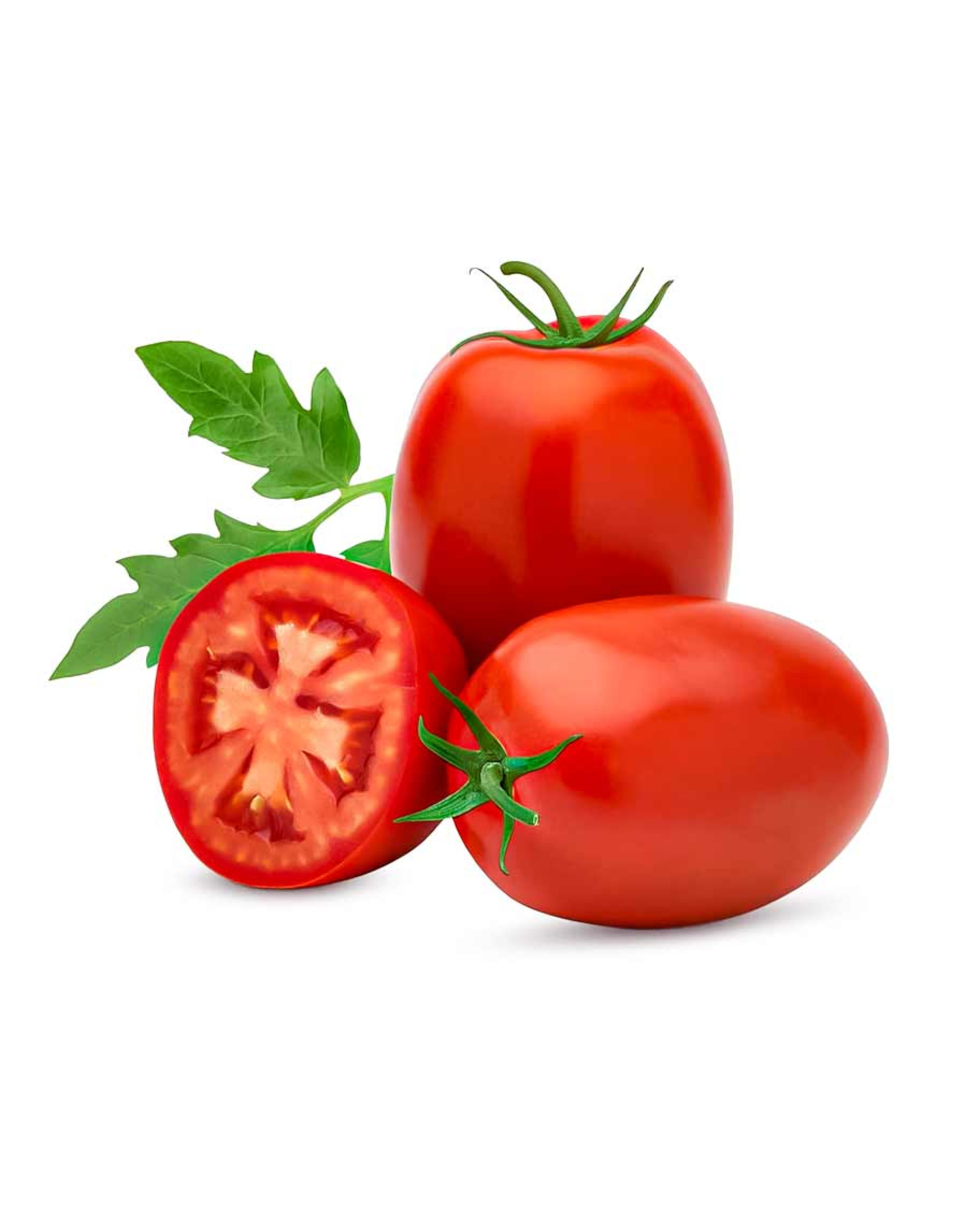 Roma Plum Tomato Qatar