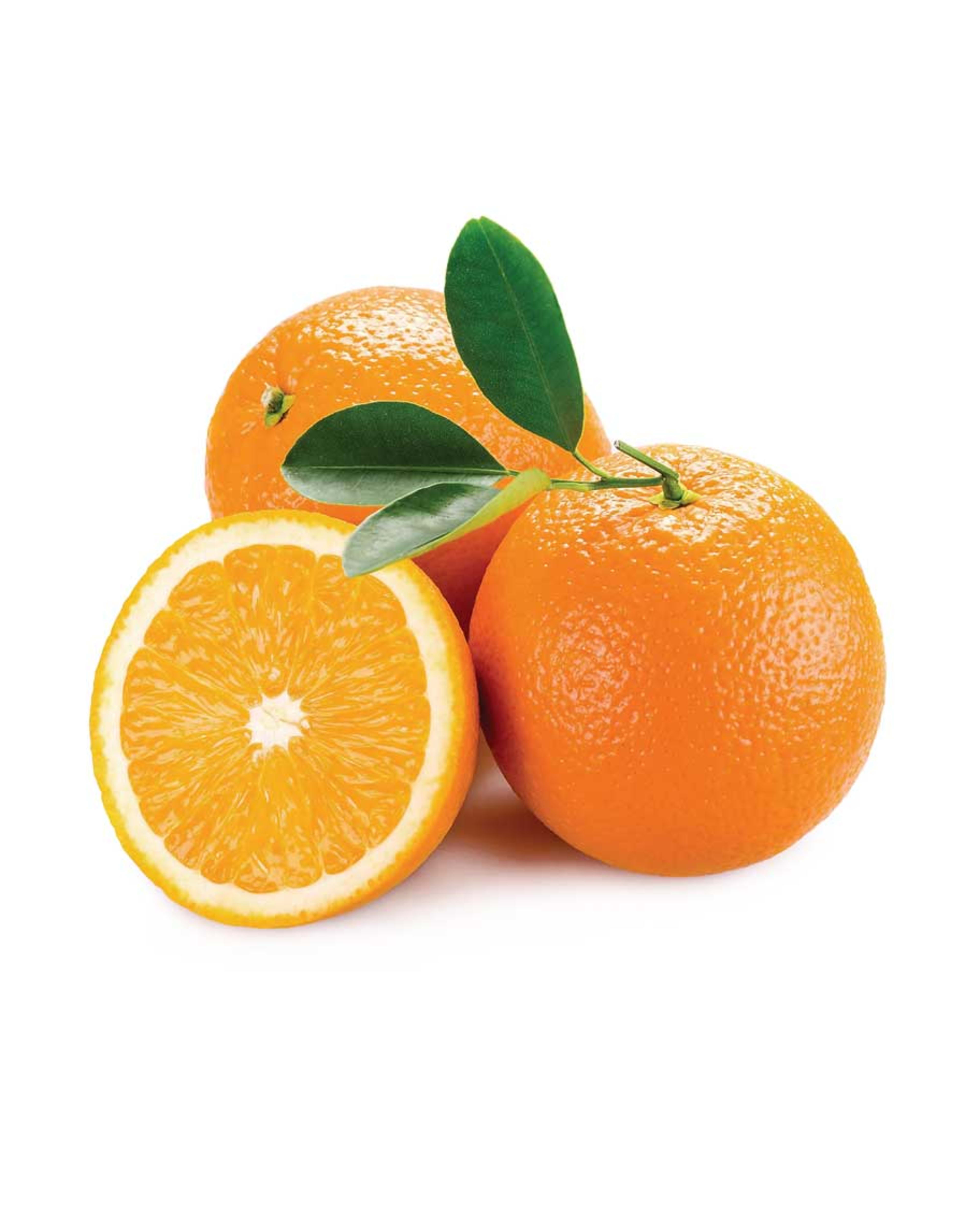 Orange Navel (cambria) South Africa