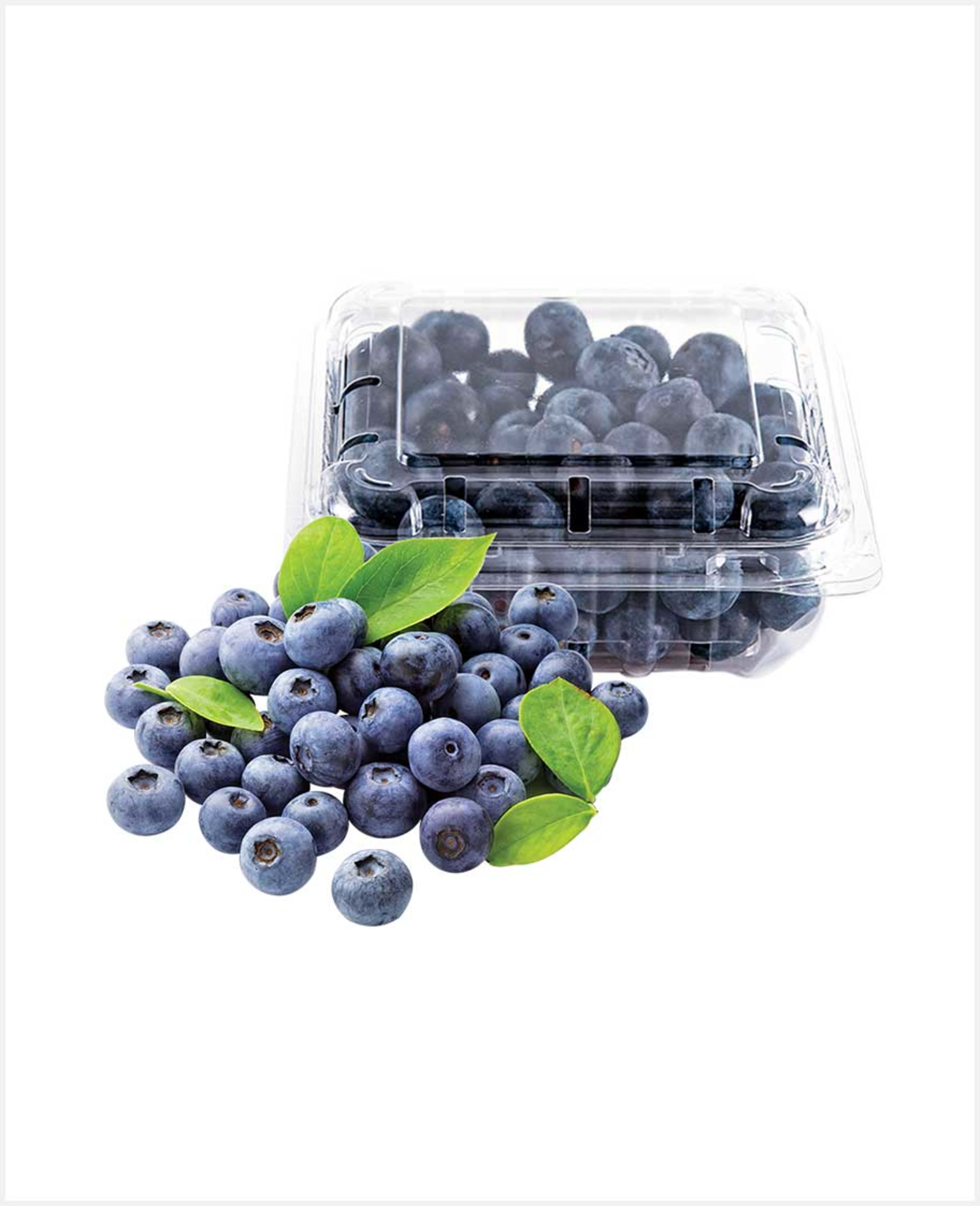 Blueberry 125gm Morocco