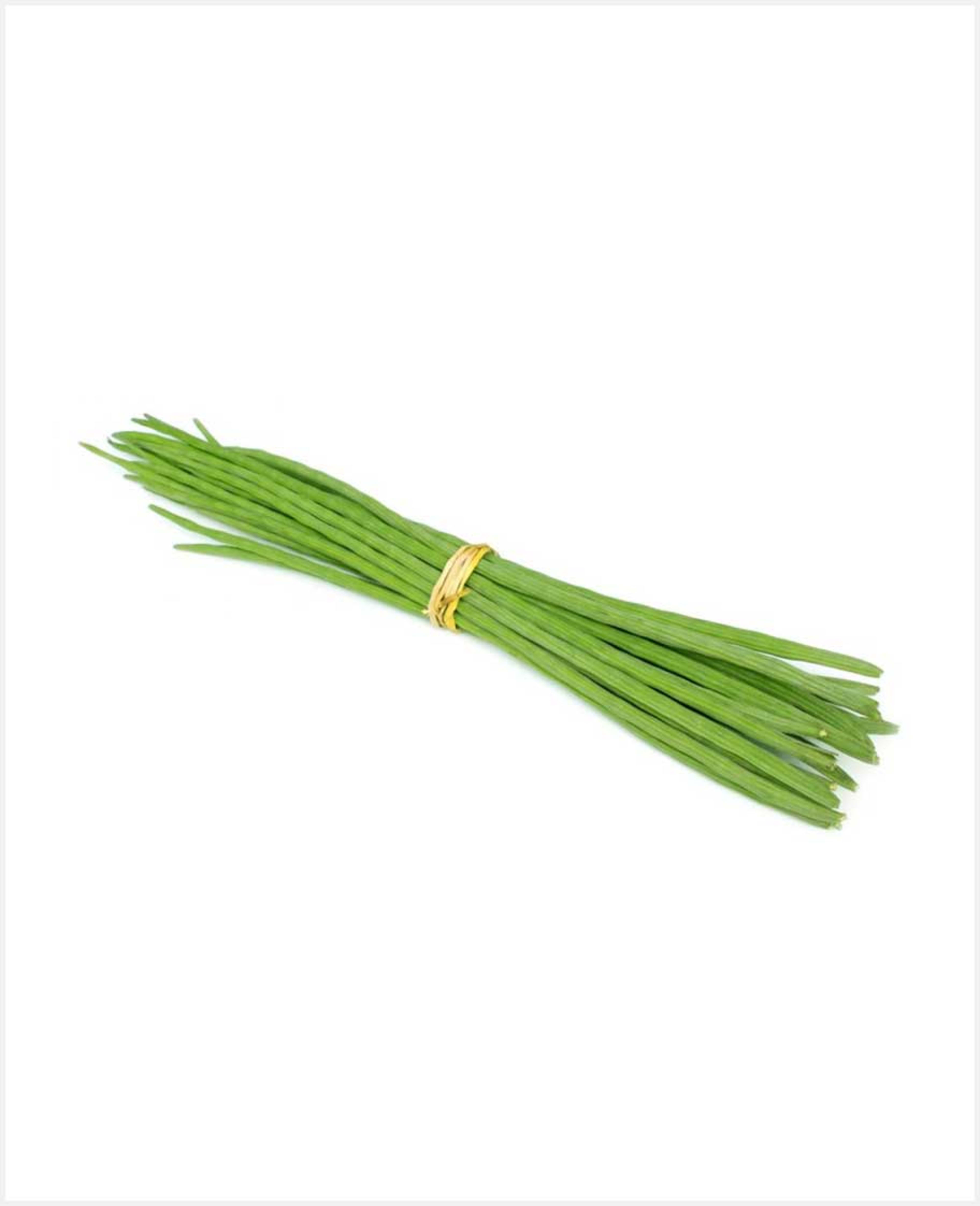 Drumstick India