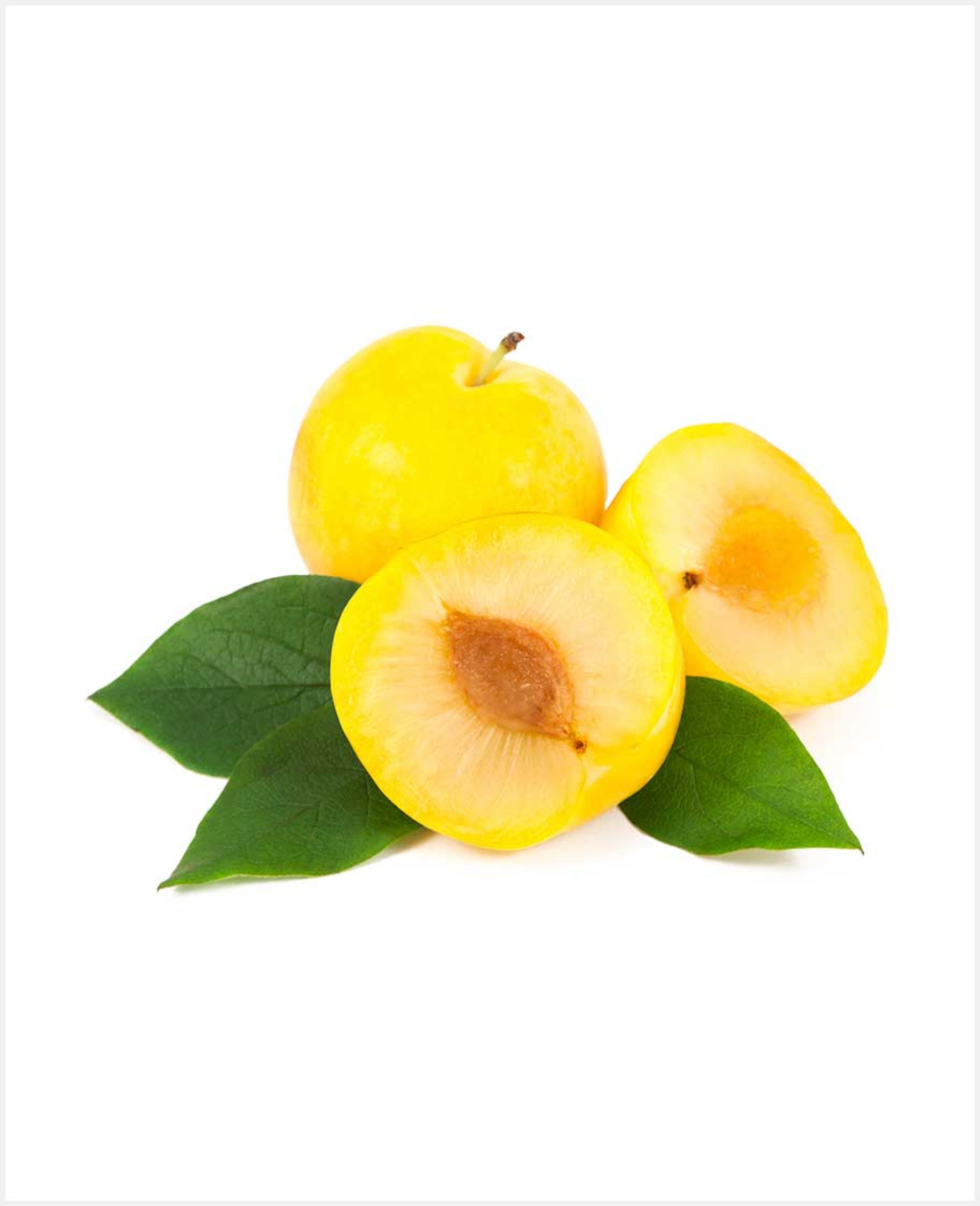Plum - image 3