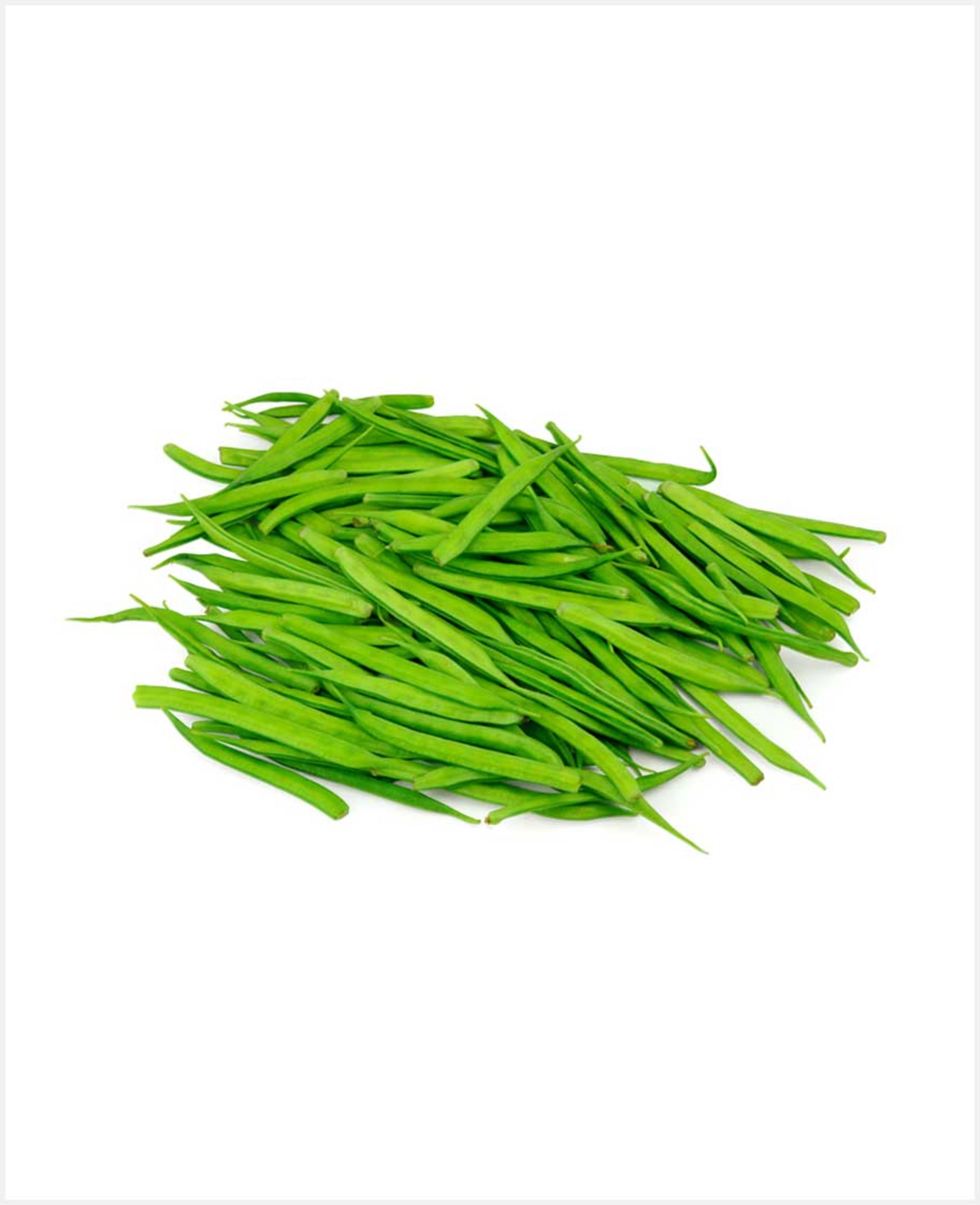 Cluster Beans India