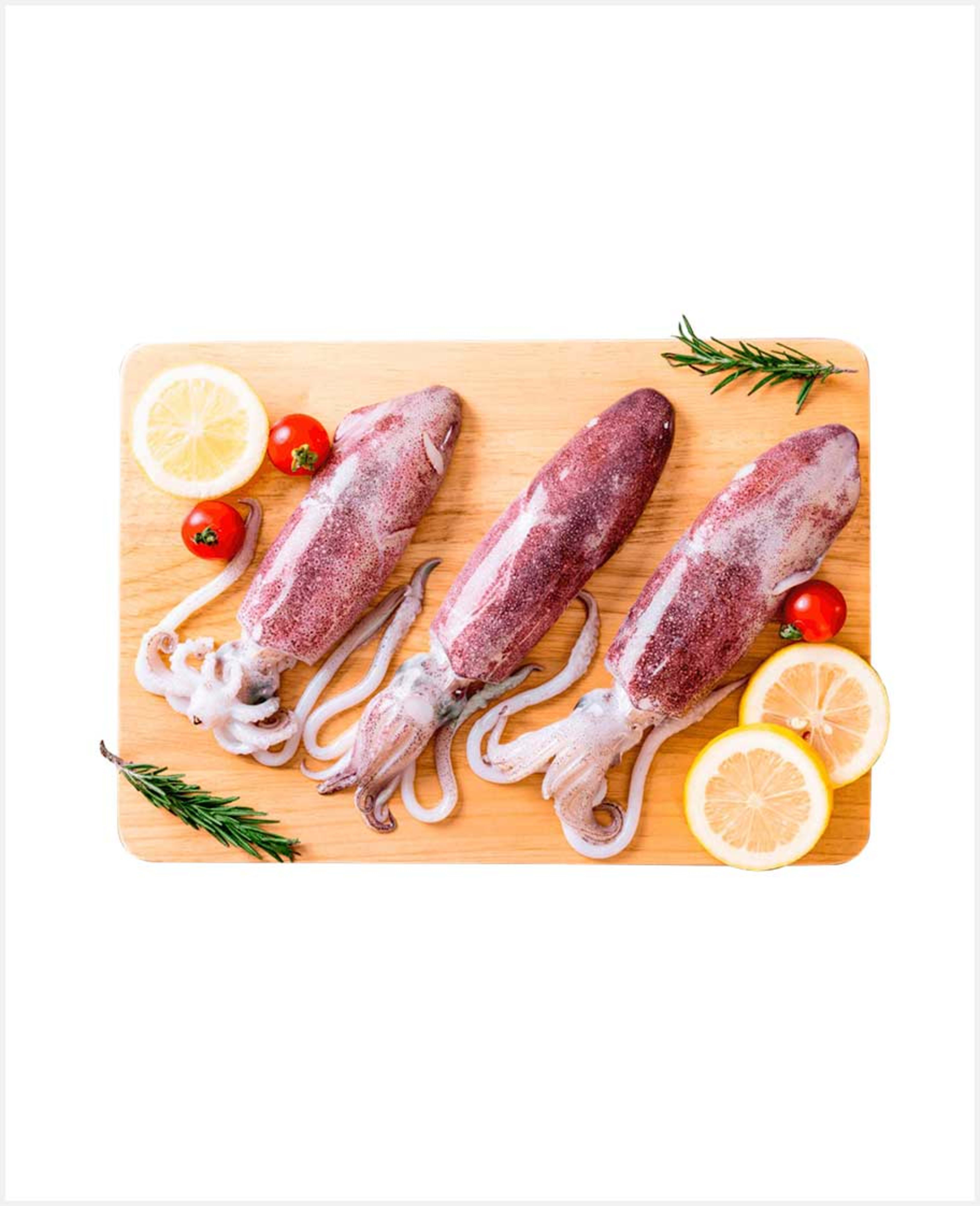 Squid Oman