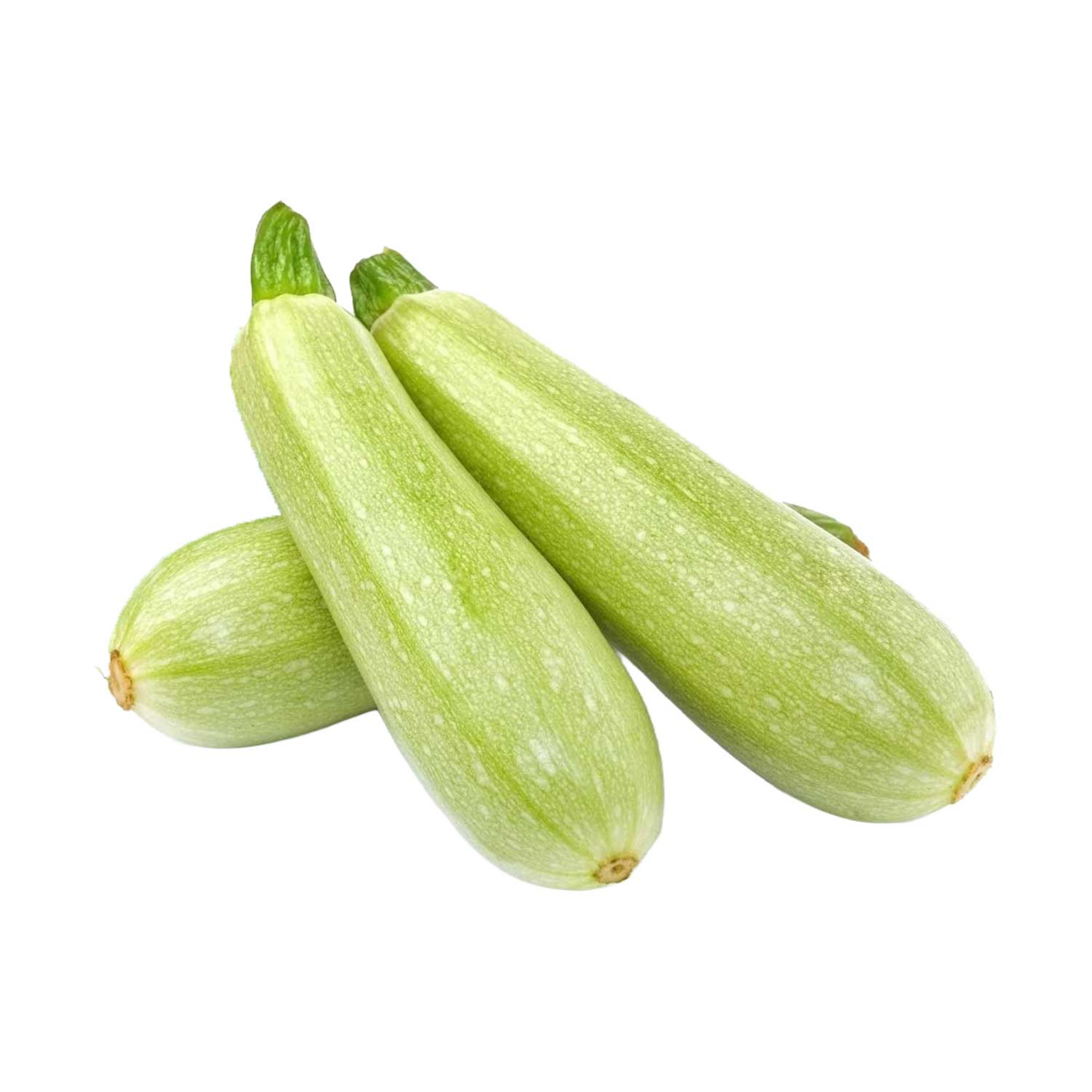 Marrow (kusa) Qatar