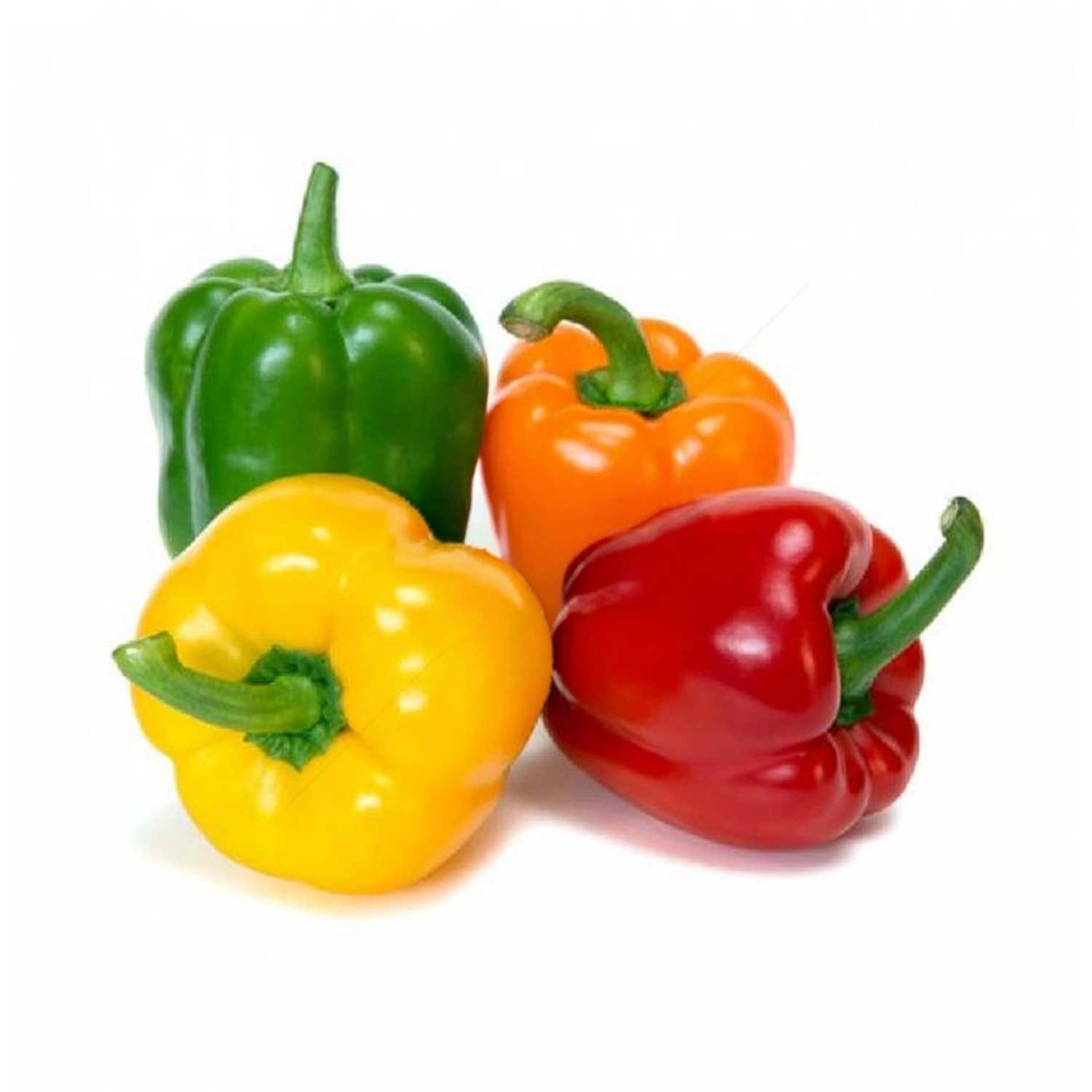 Capsicum Mix 4pcs Holland Pkt