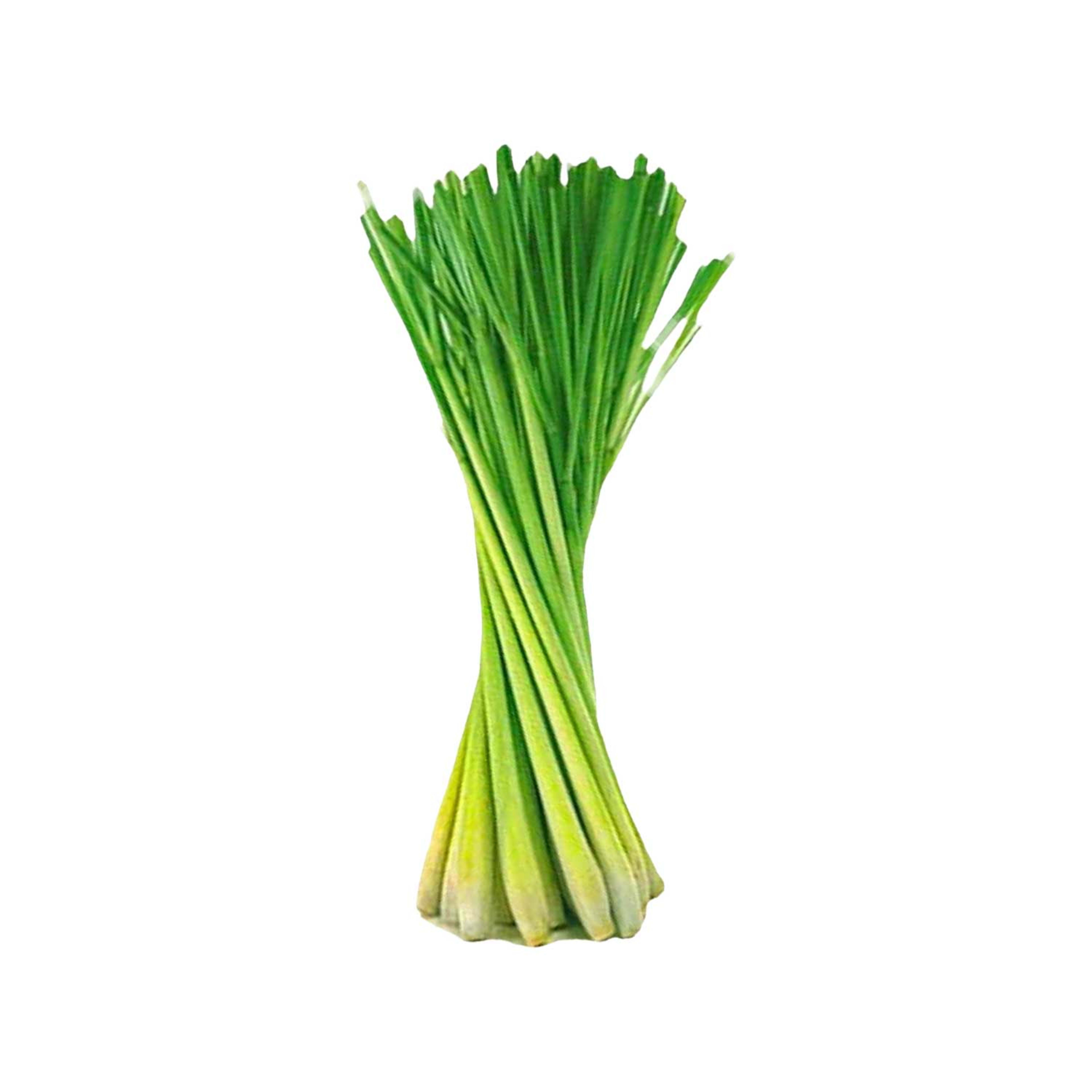 Lemon Grass