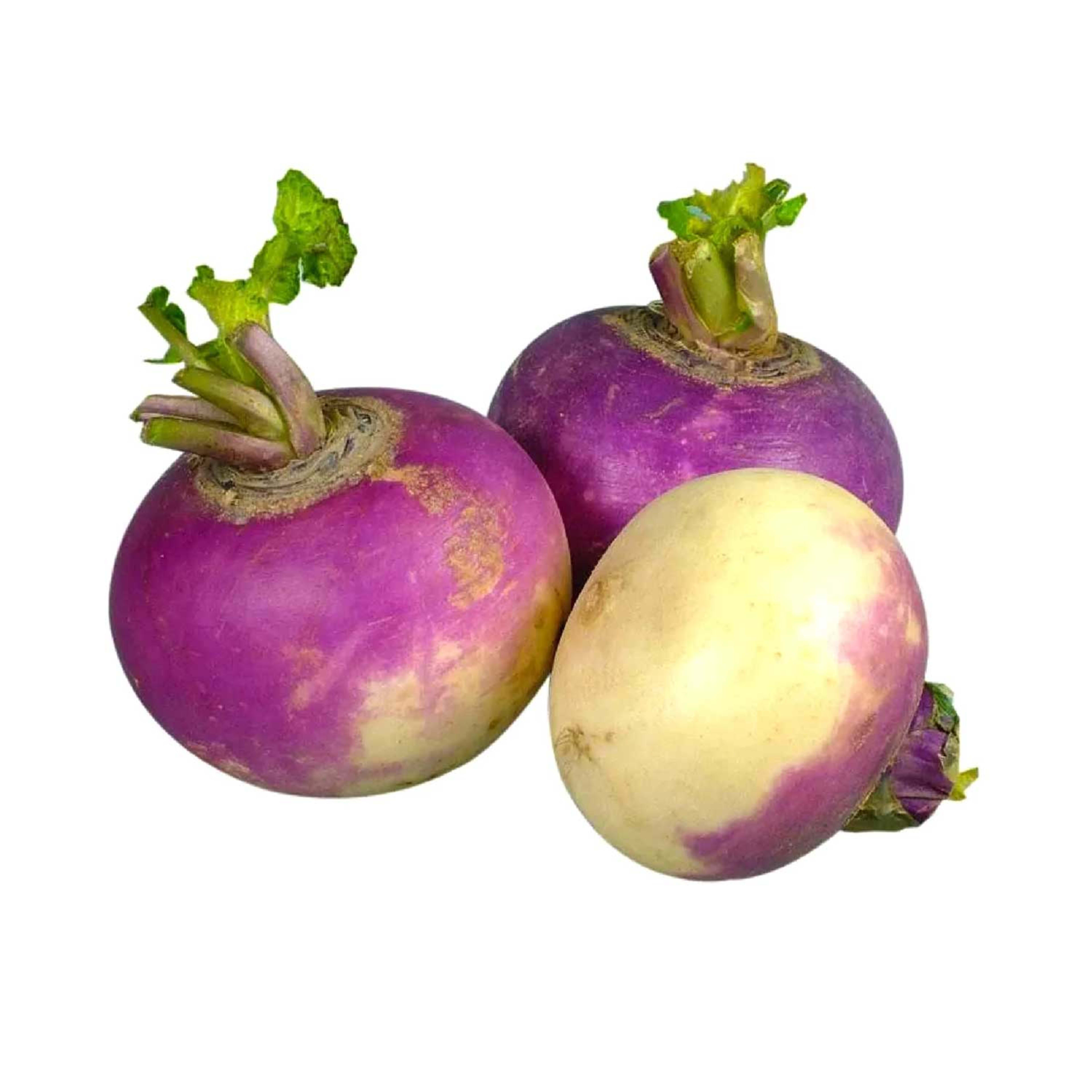 Turnip Qatar