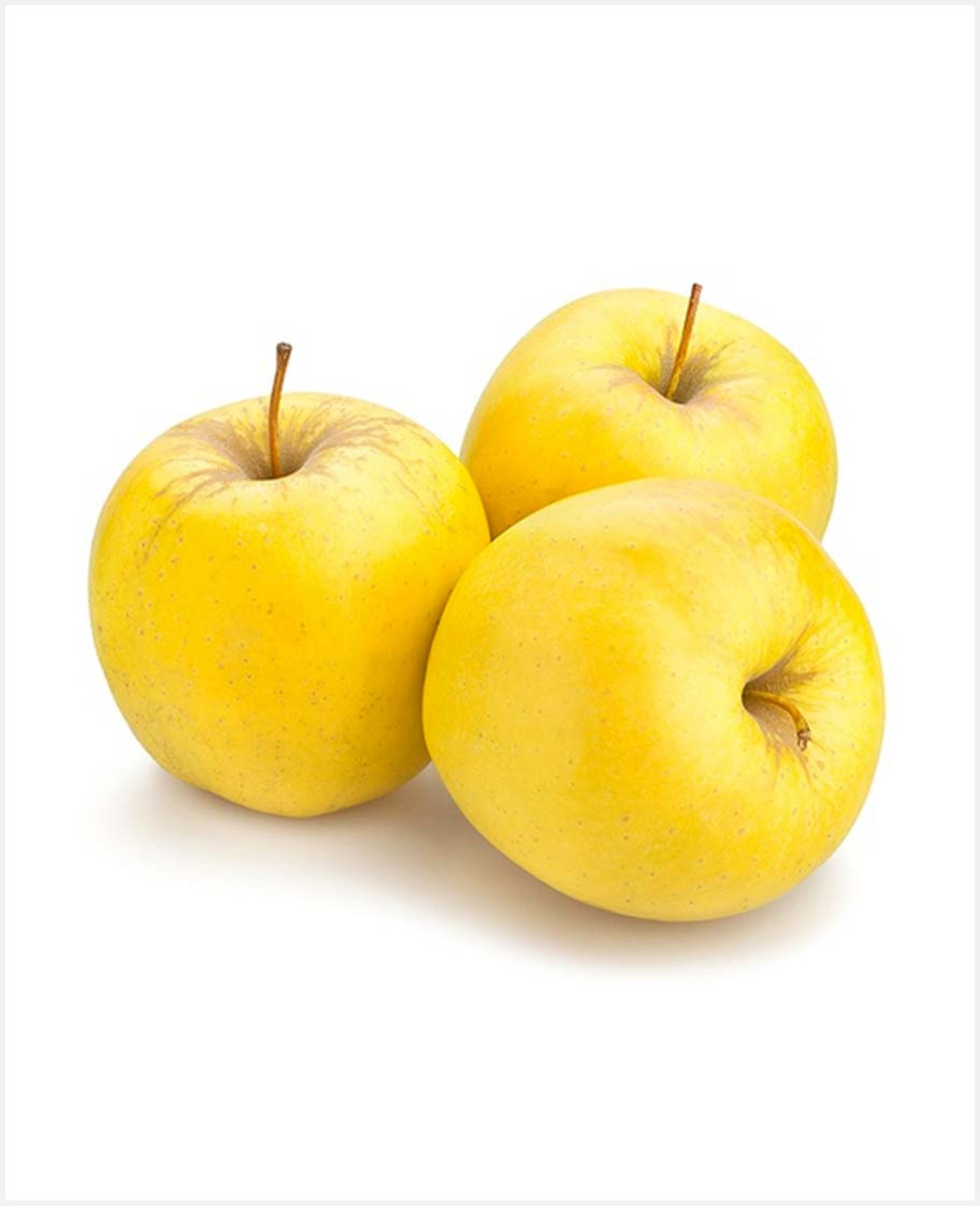 Apple Golden Italy