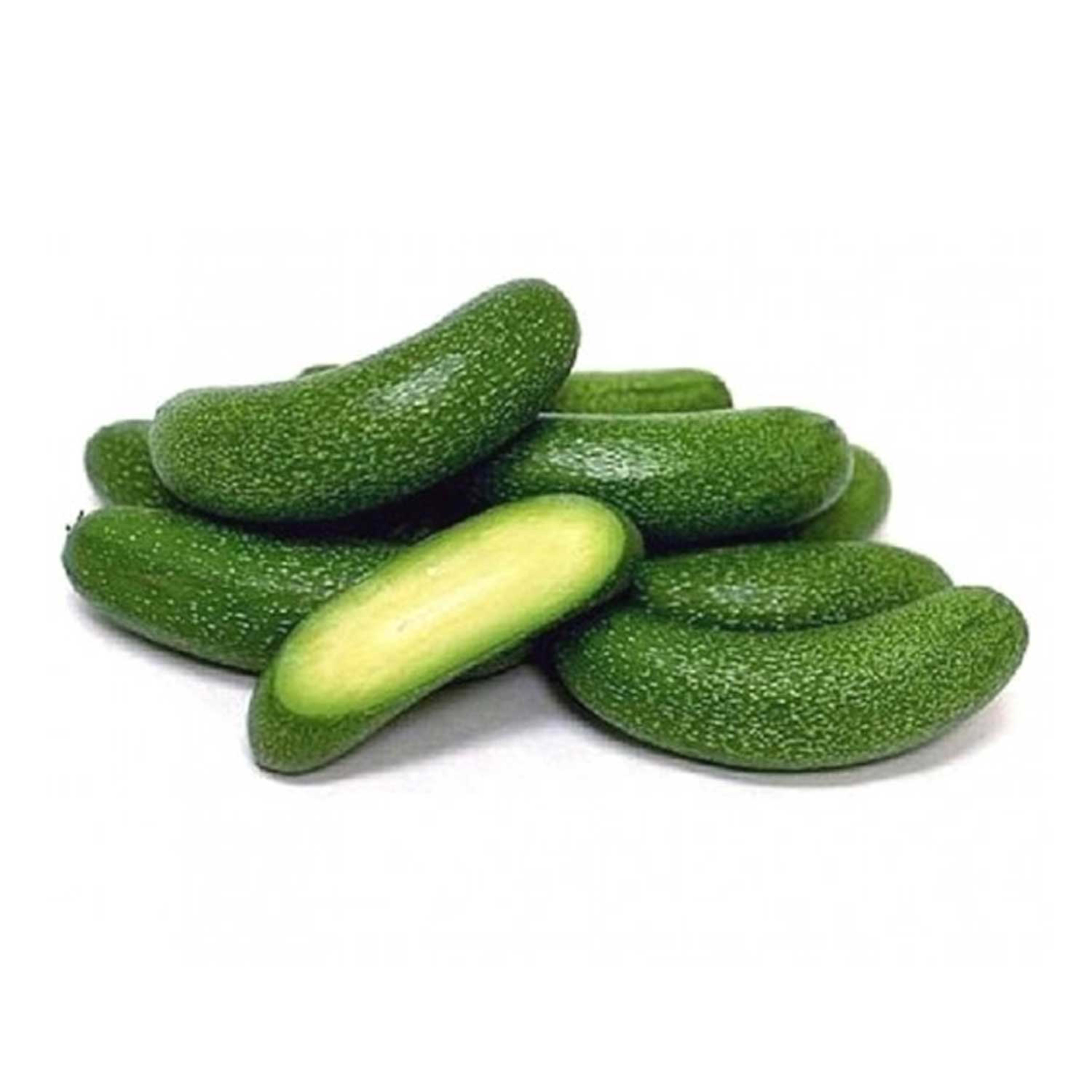 Baby Avocado Lebanon