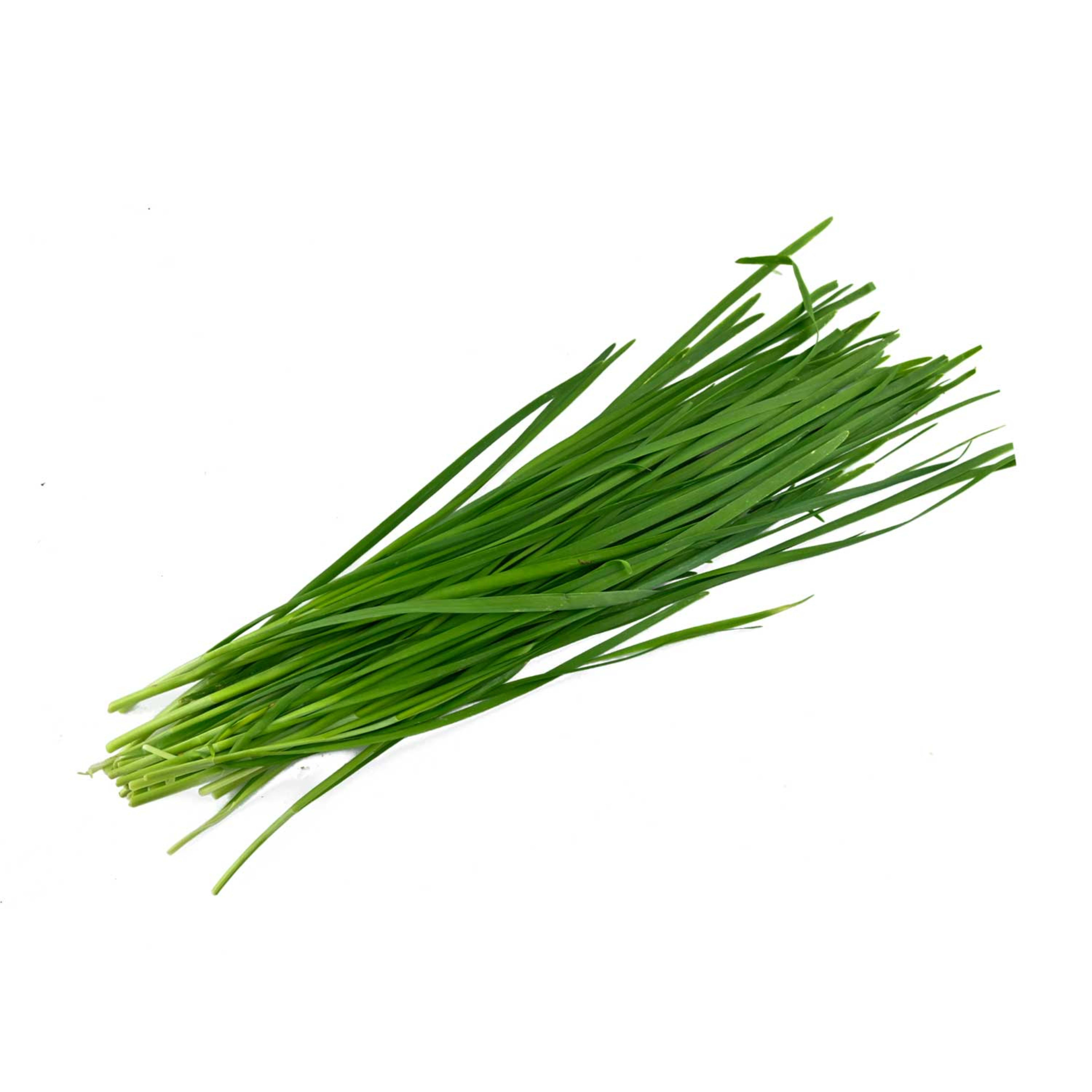 Herbs Chives Holland -