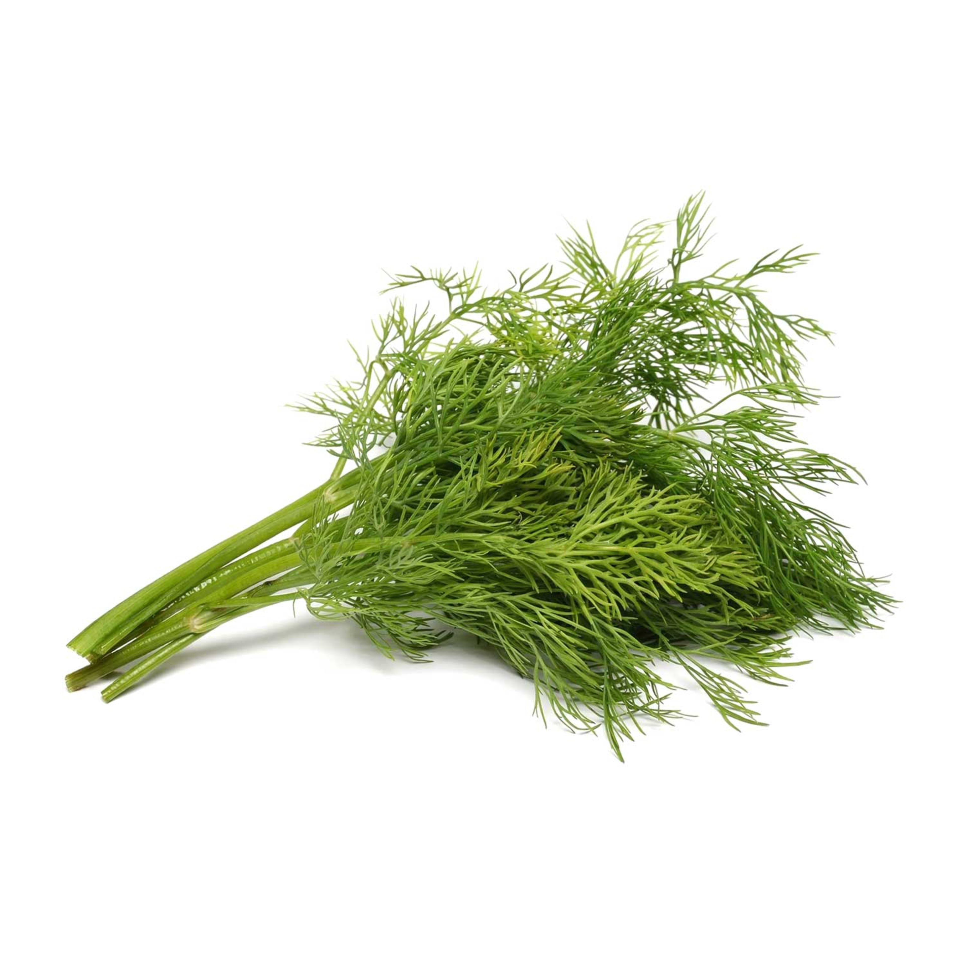 Dill Qatar