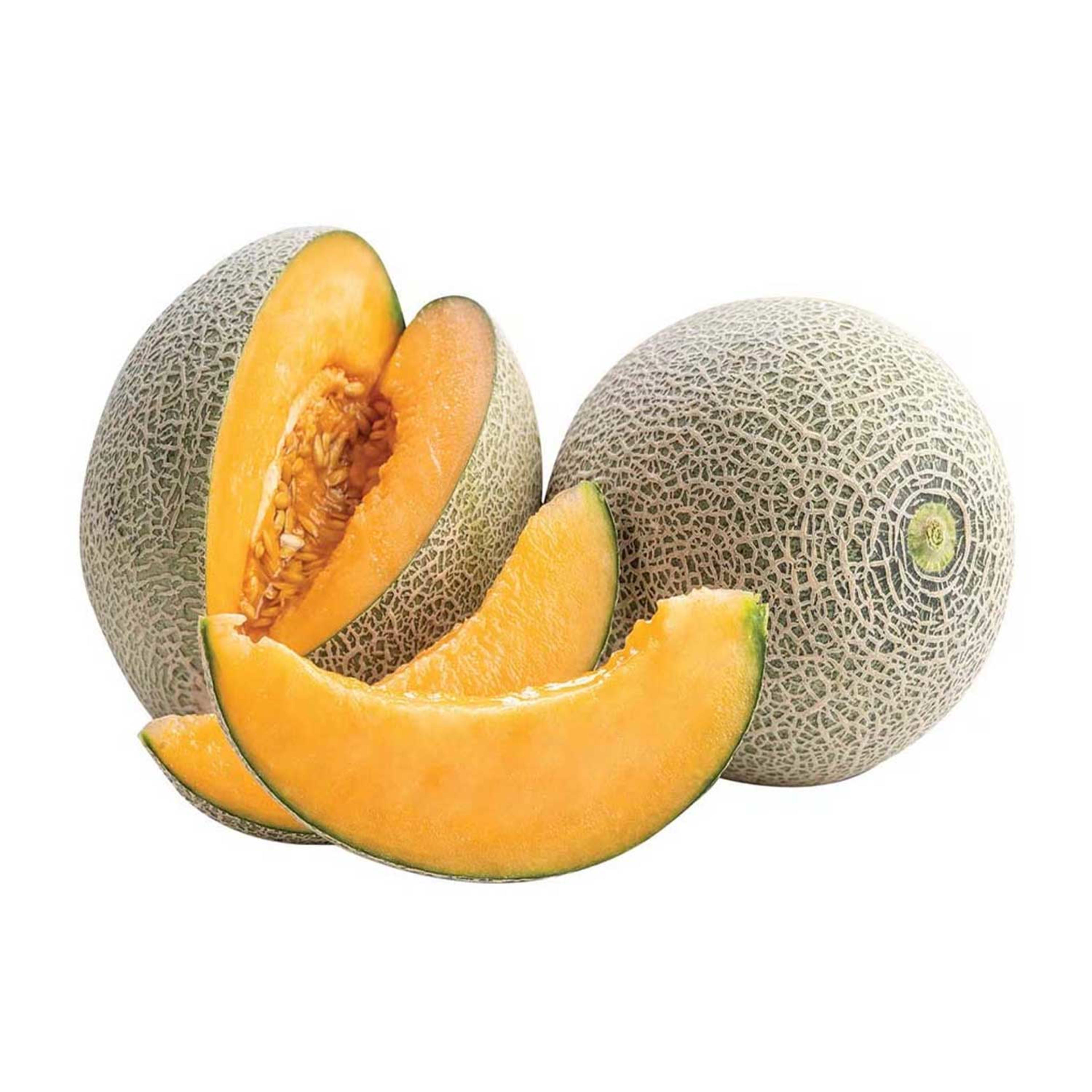 Rock Melon Jordan