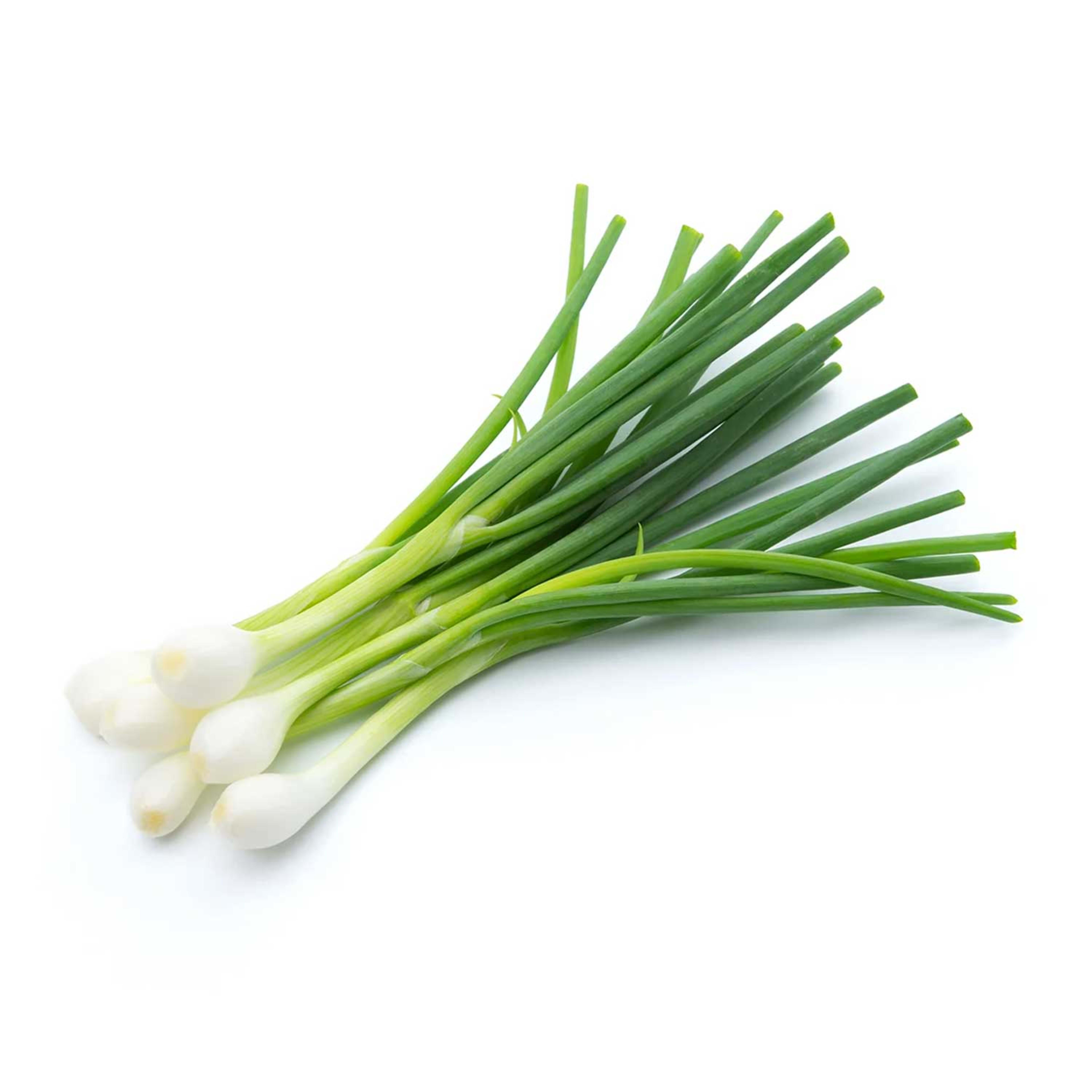 Spring Onion Holland