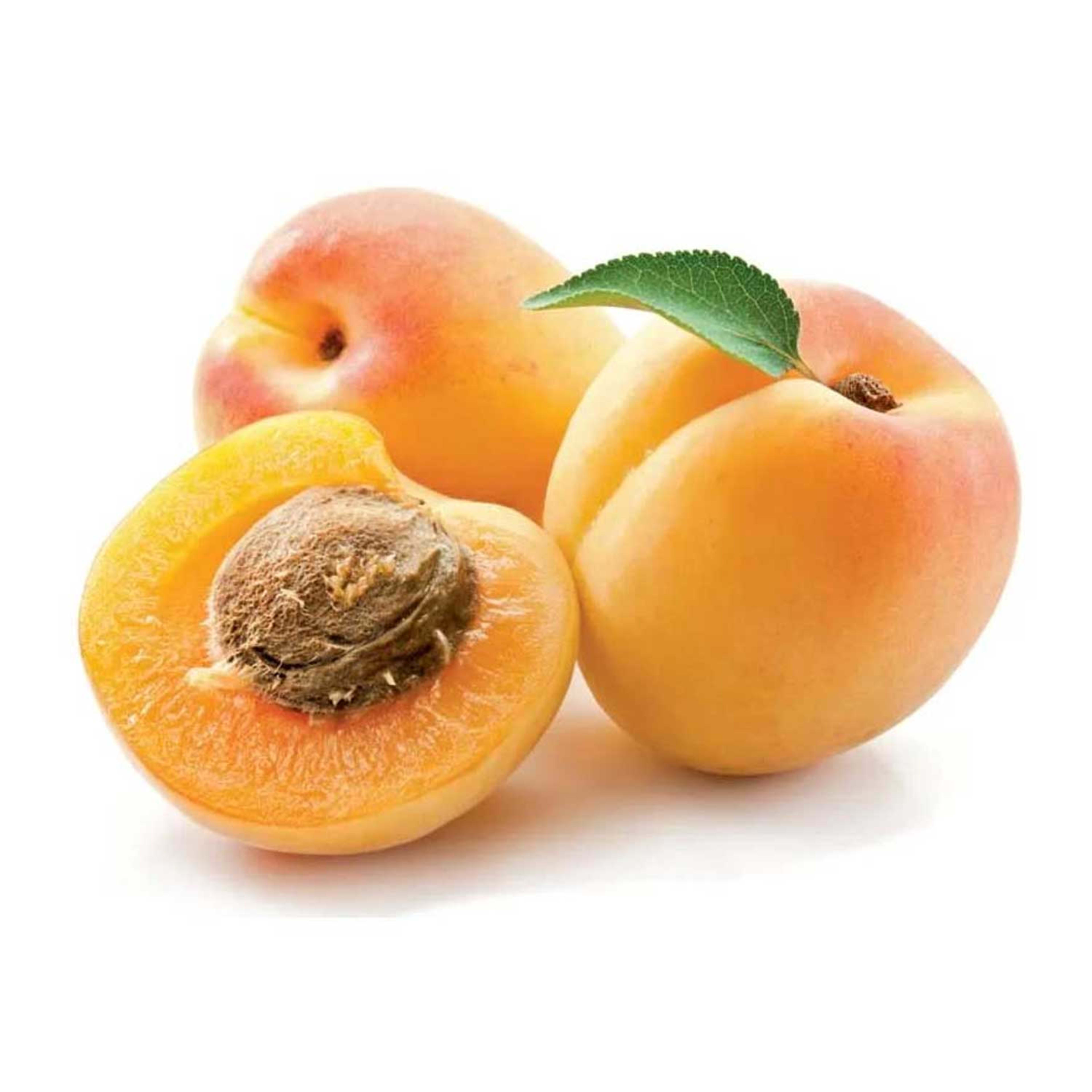 Apricot Lebanon