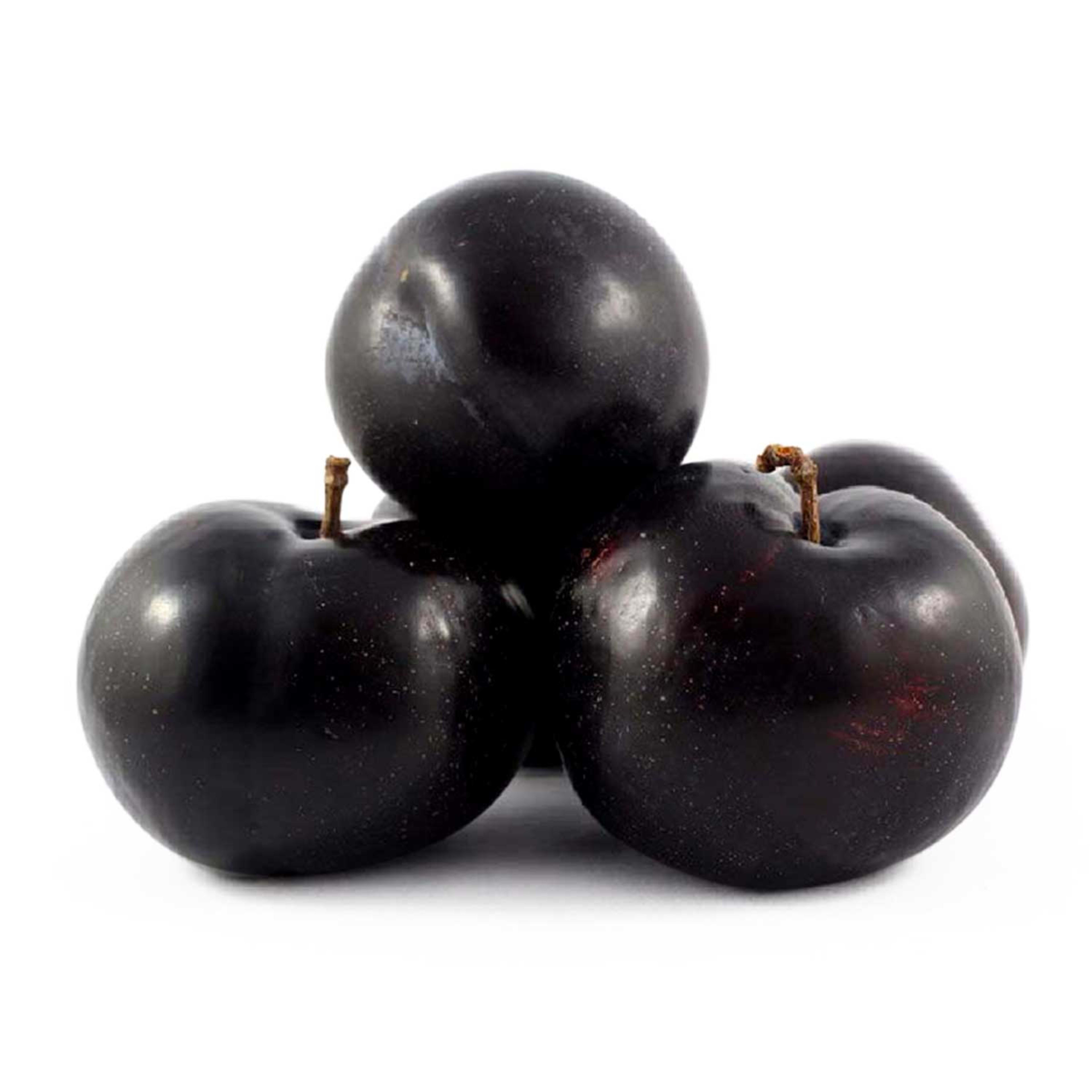 Plum Black Lebanon