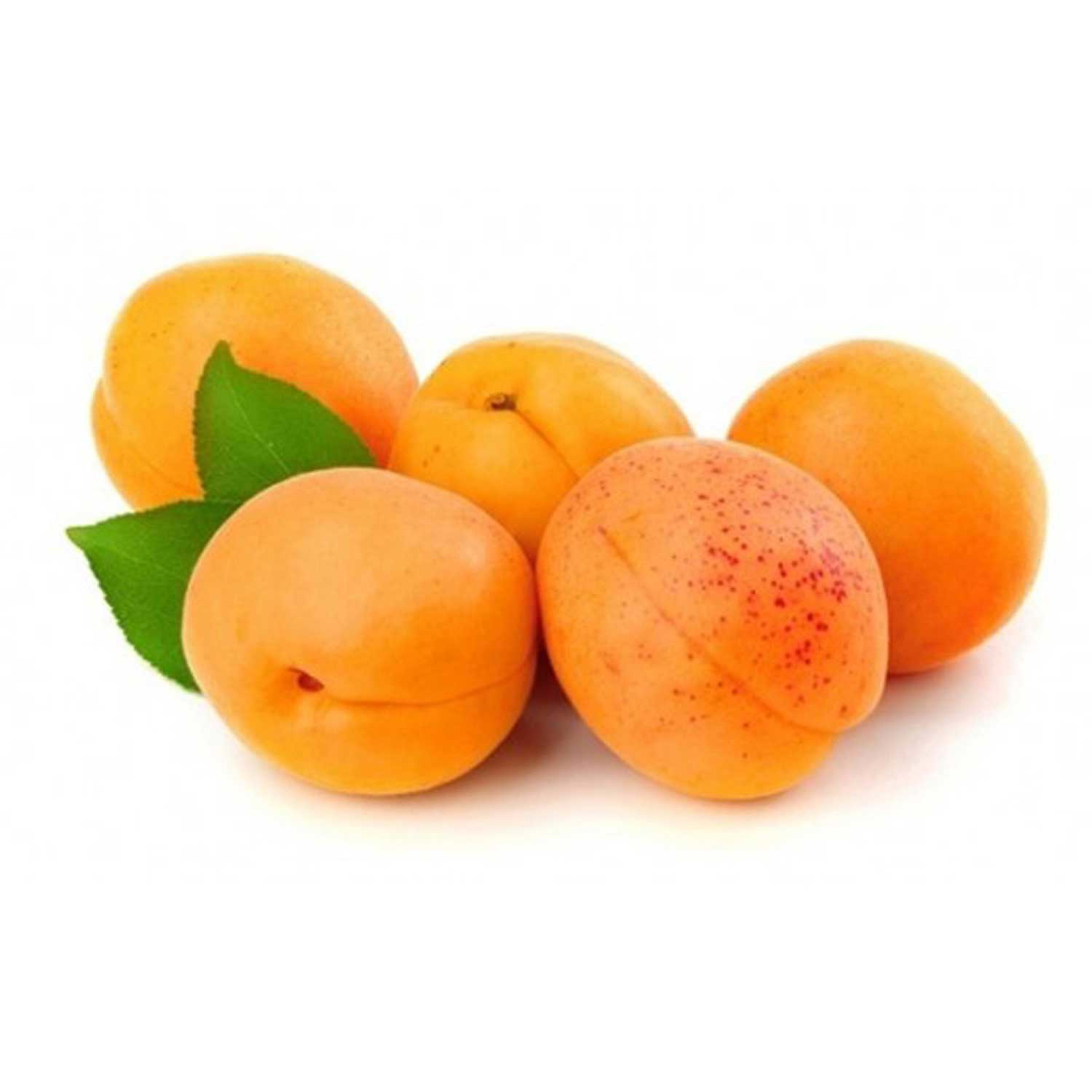 Apricot Ajami Iran