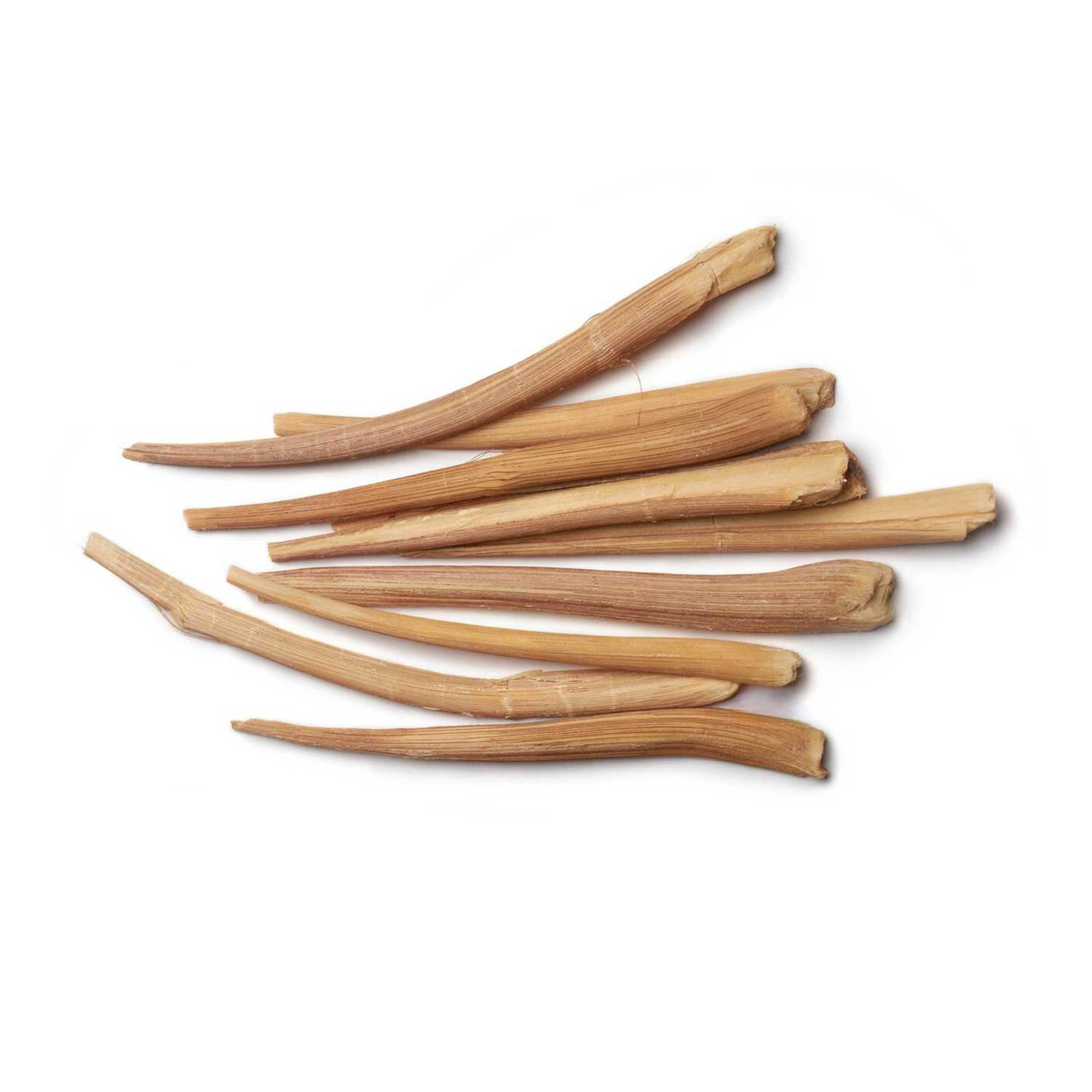 Palm Shoots