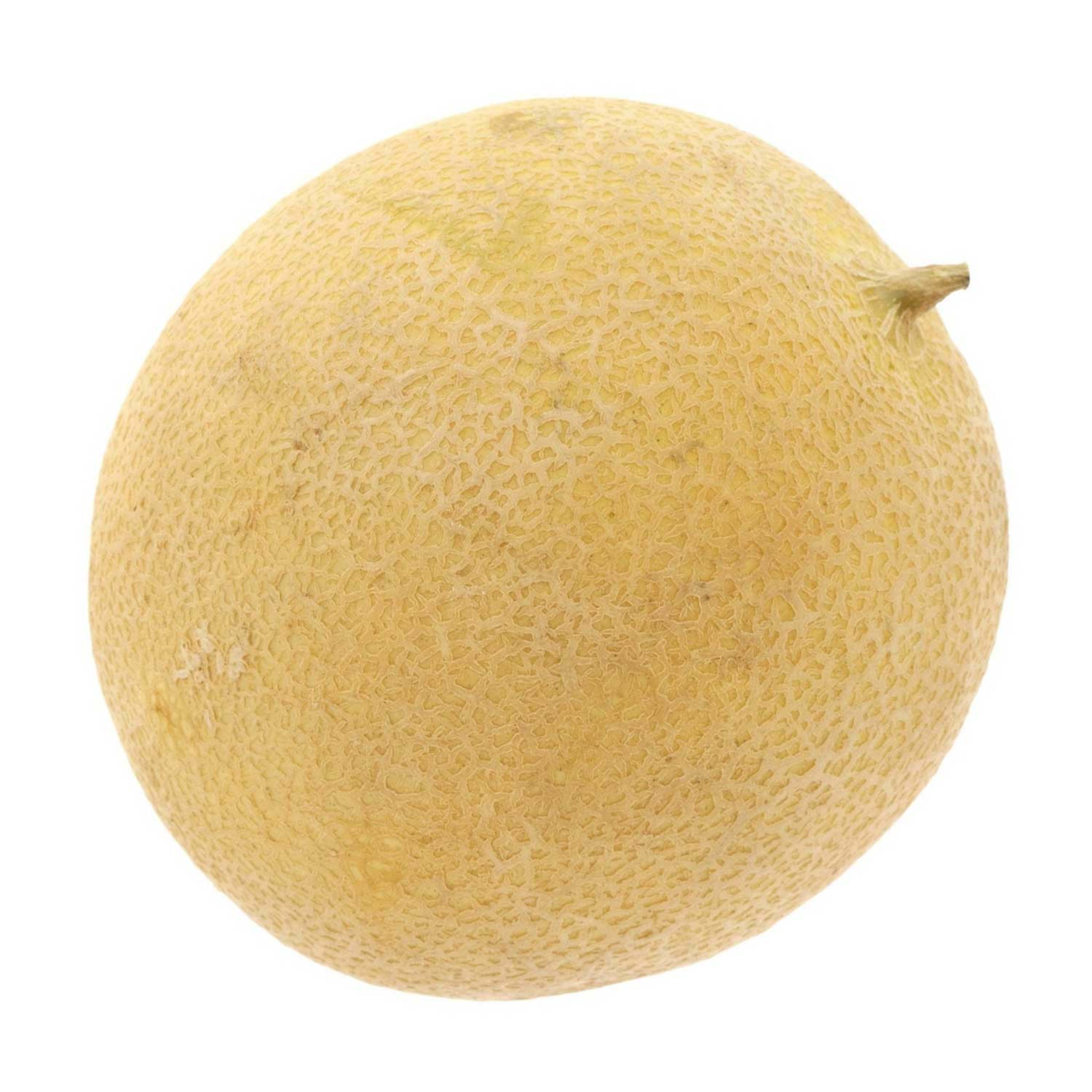Rock Melon India