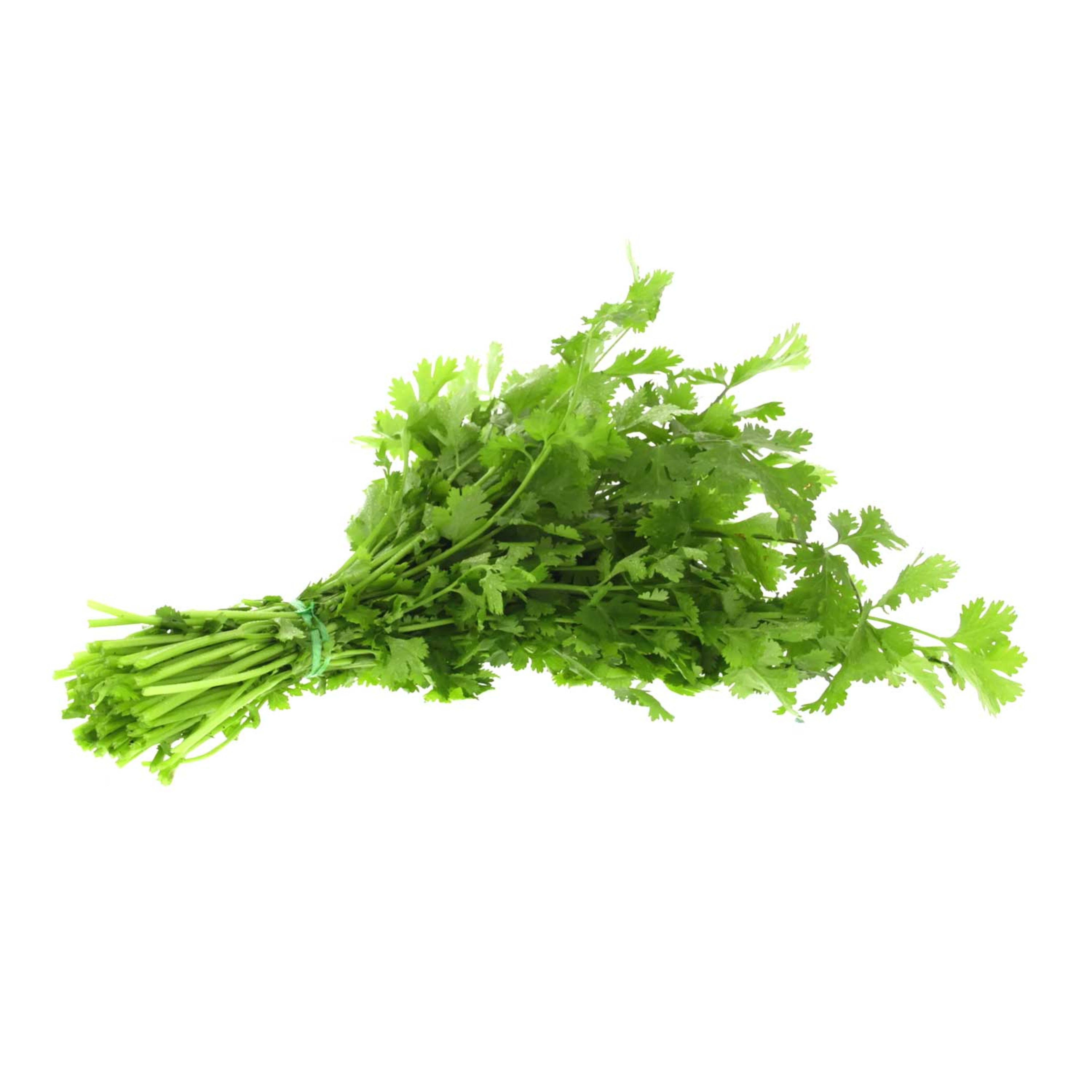 Coriander (ksa)