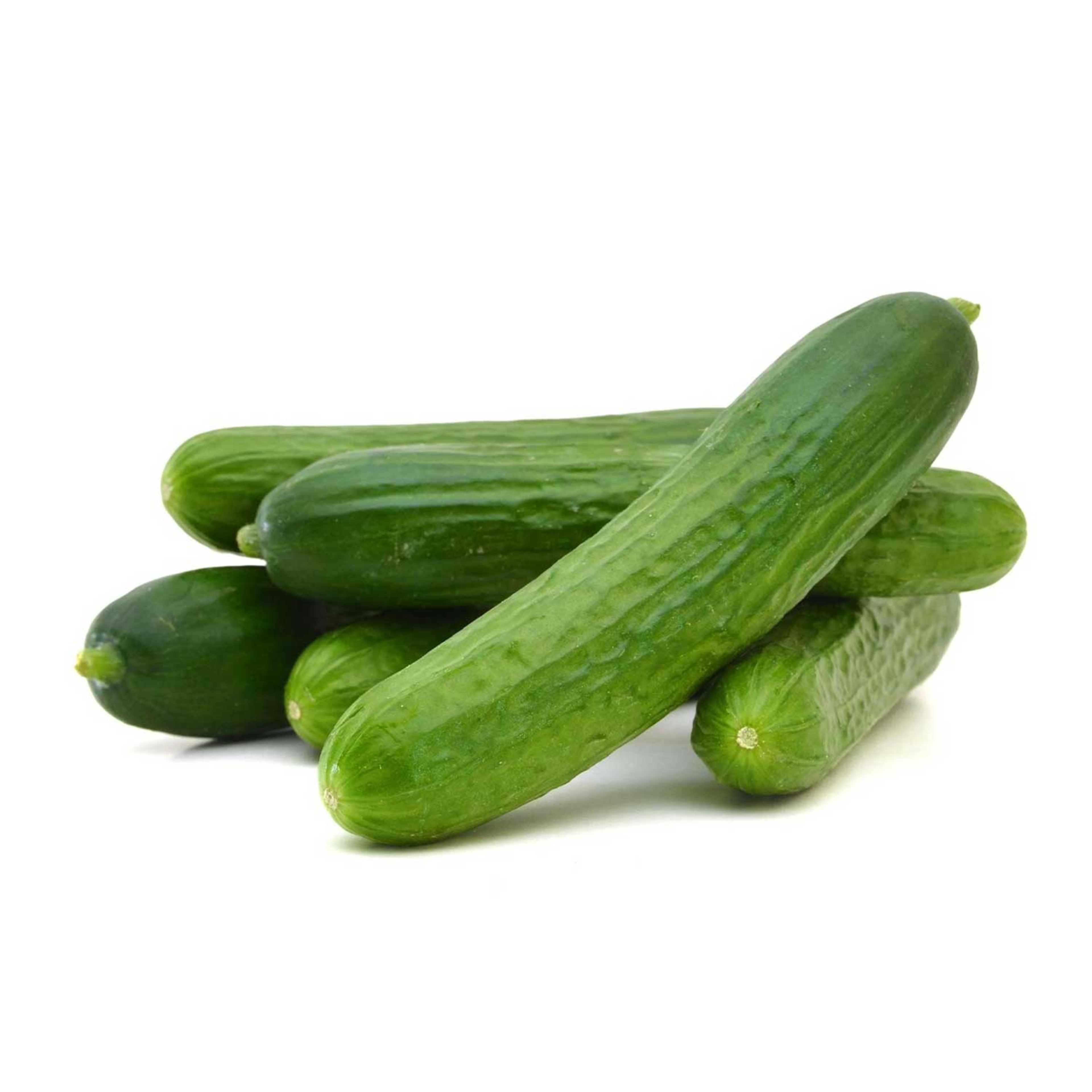 Cucumber Oman