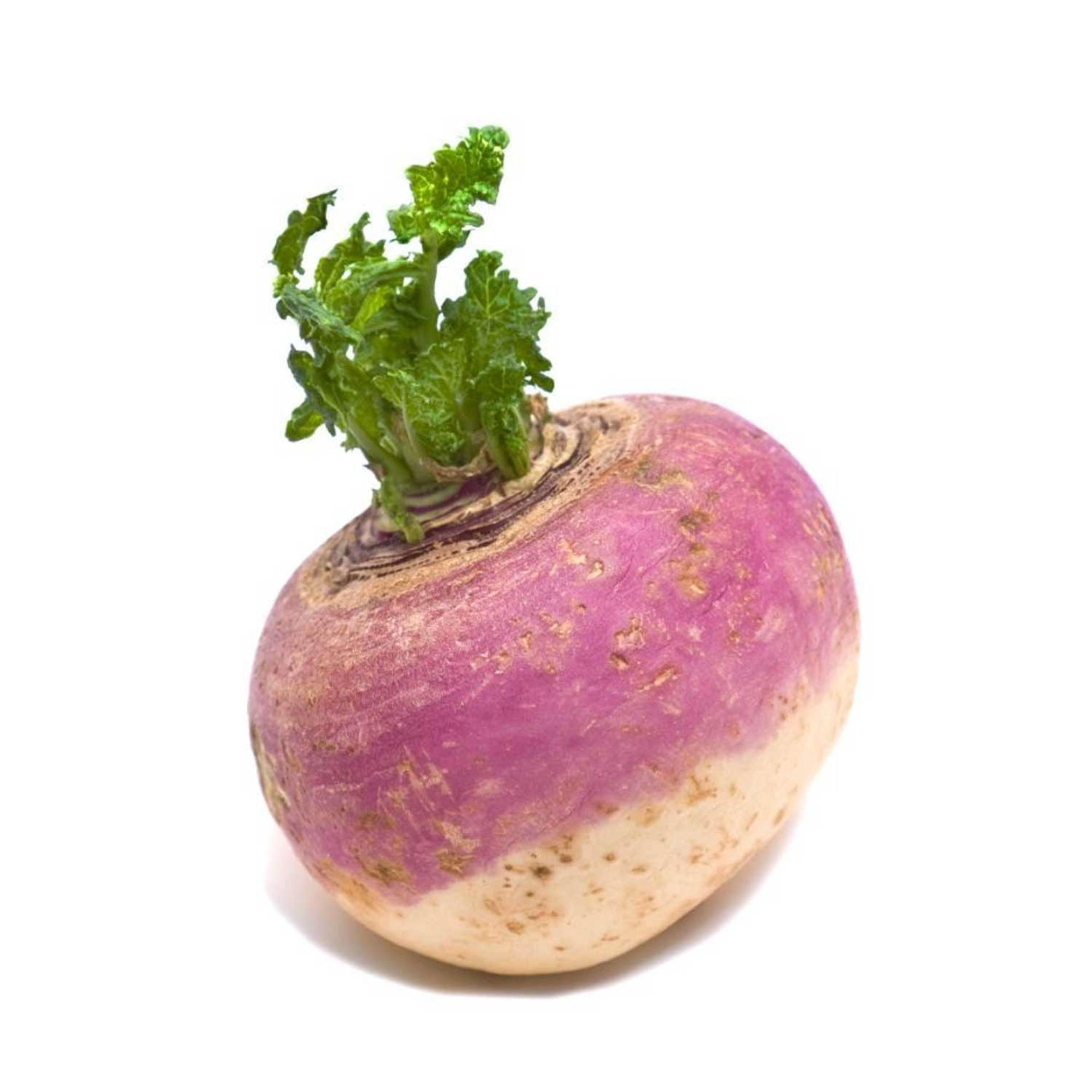 Turnip Oman