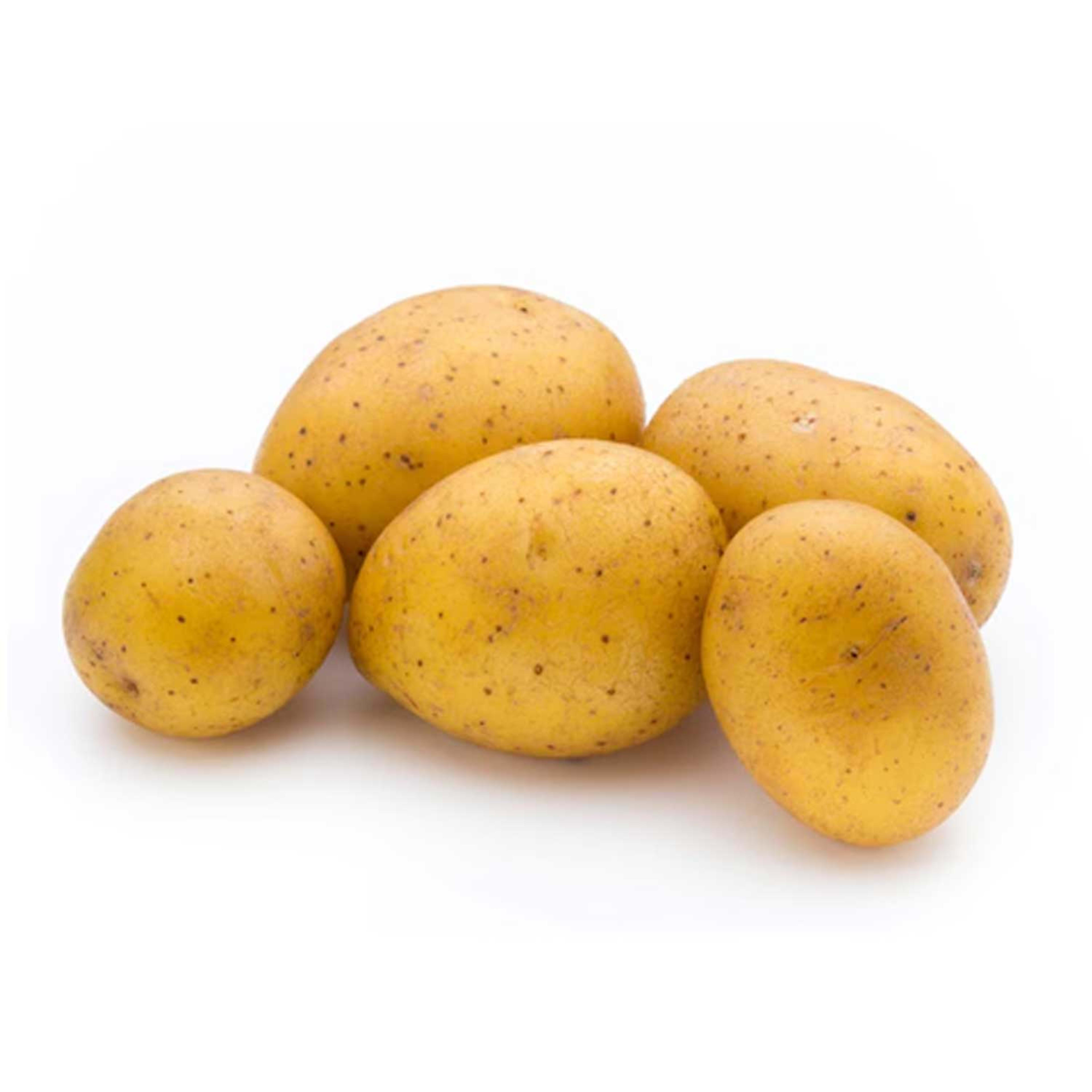 Potato Saudi
