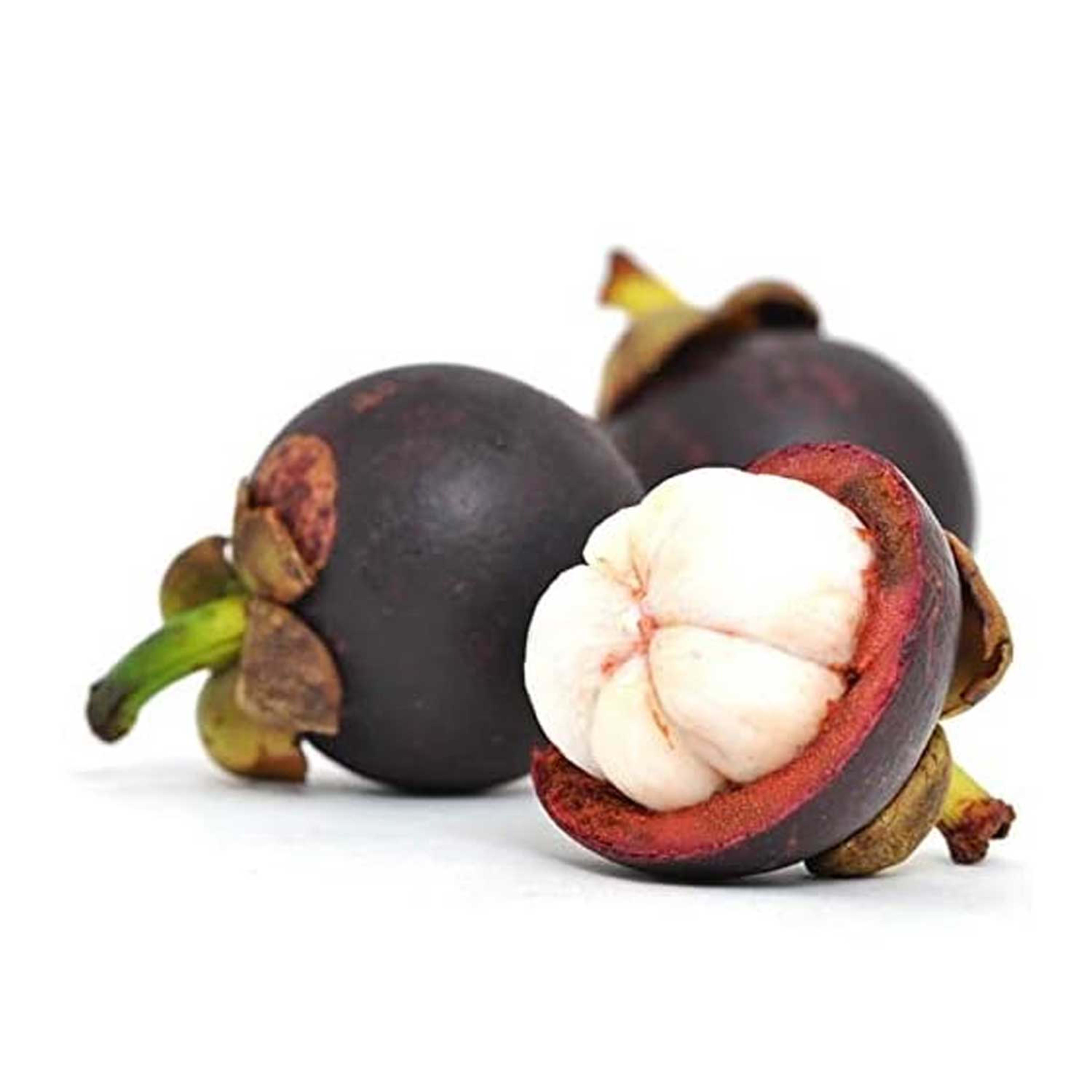Mangosteen India