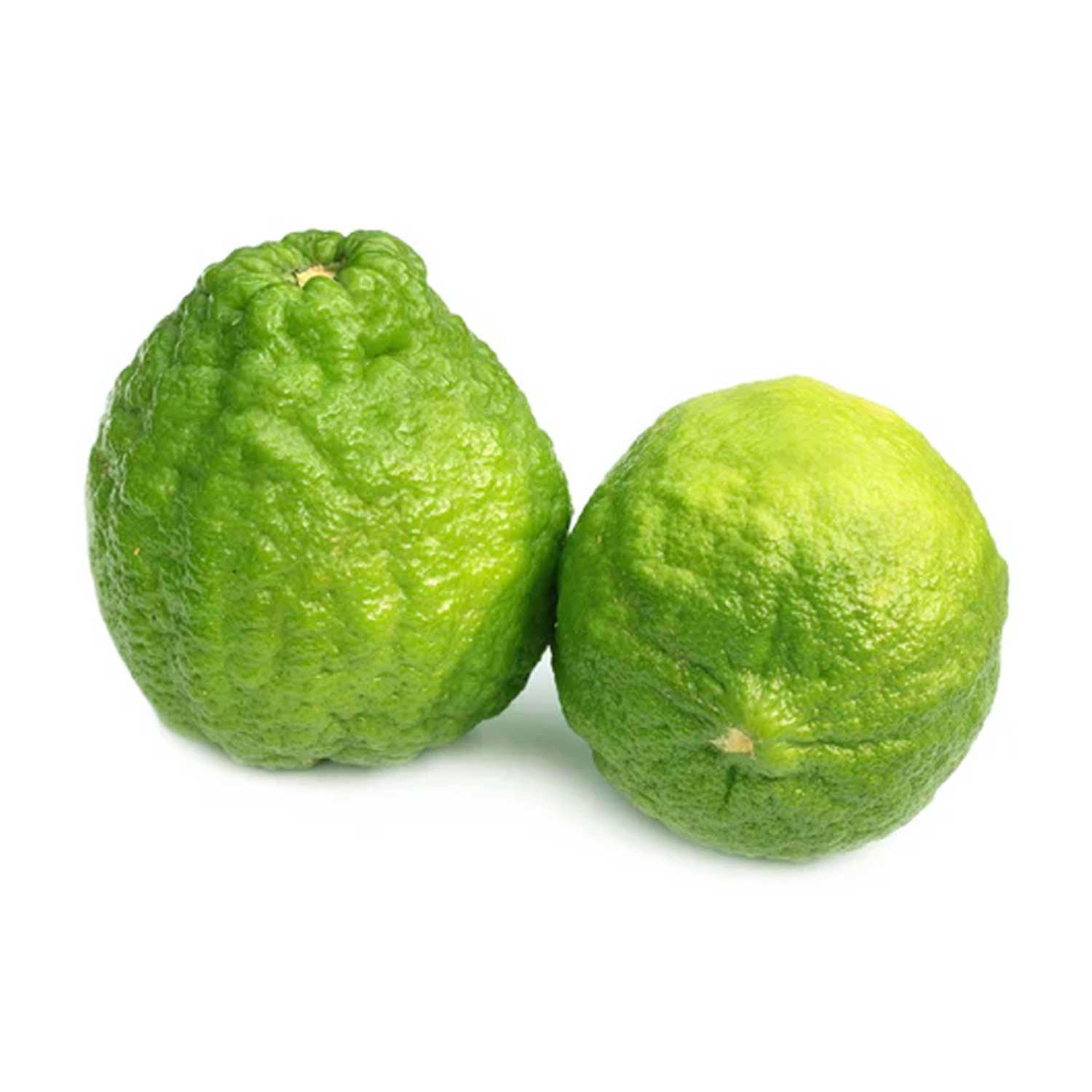 Curry Lemon India