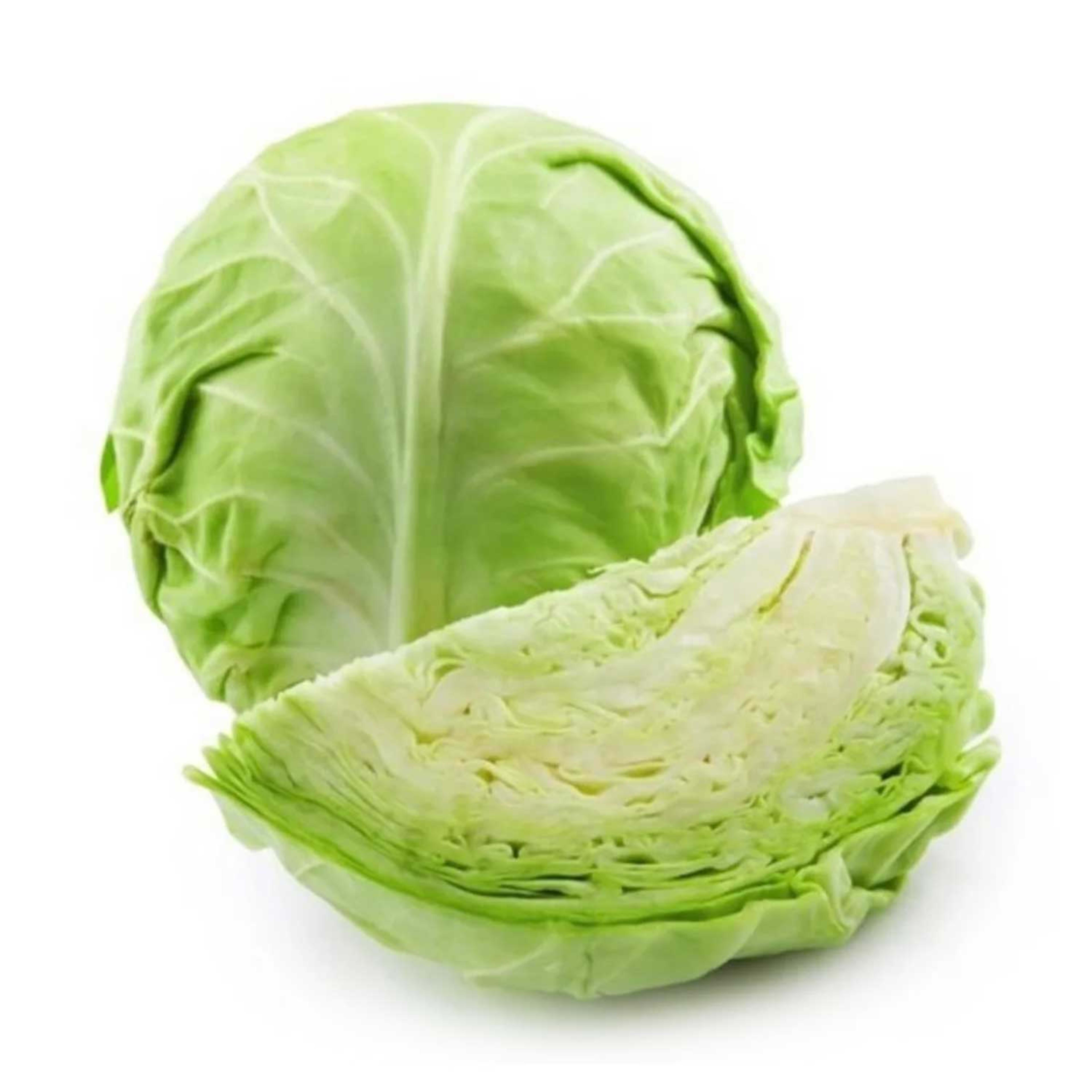 Cabbage India