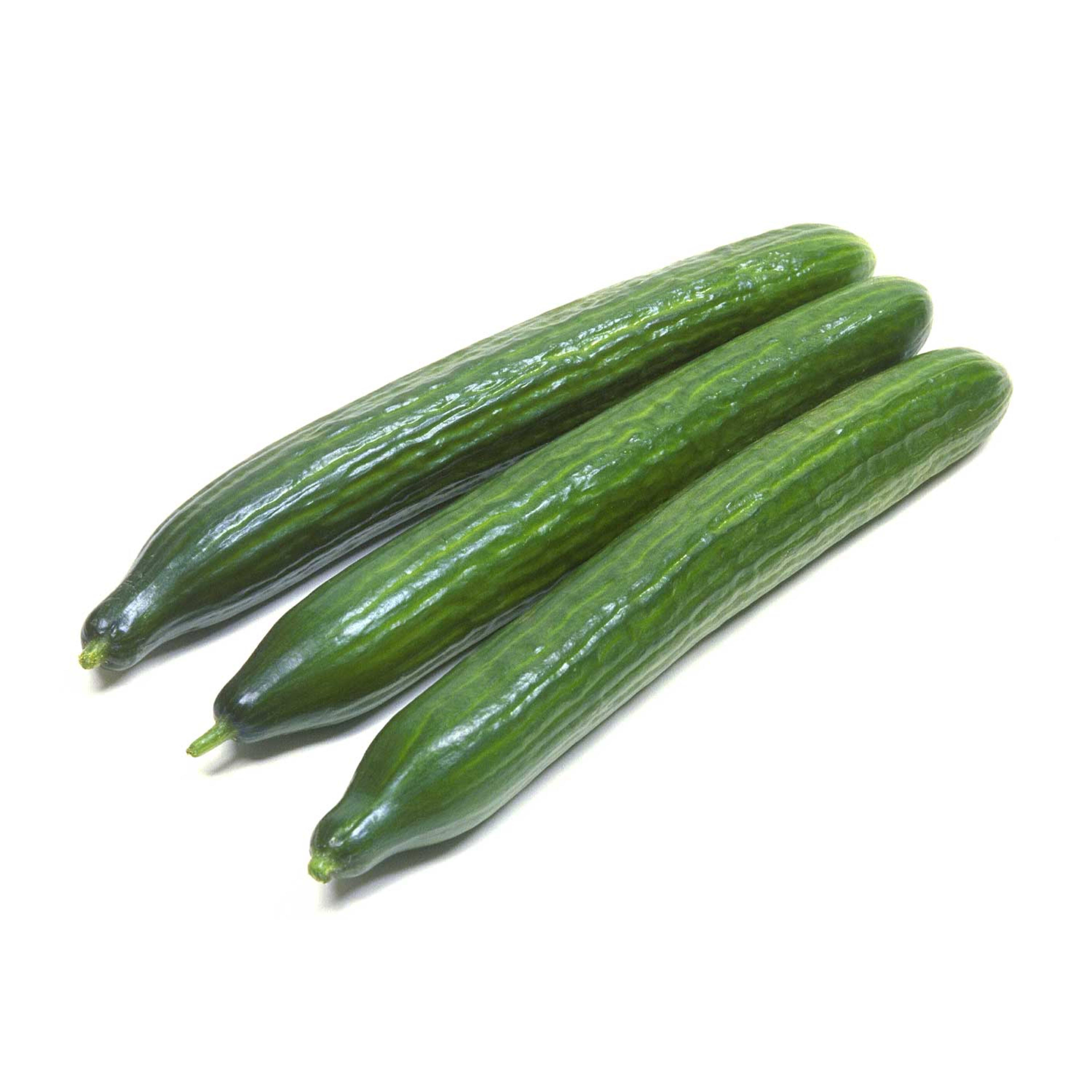 Cucumber Holland.