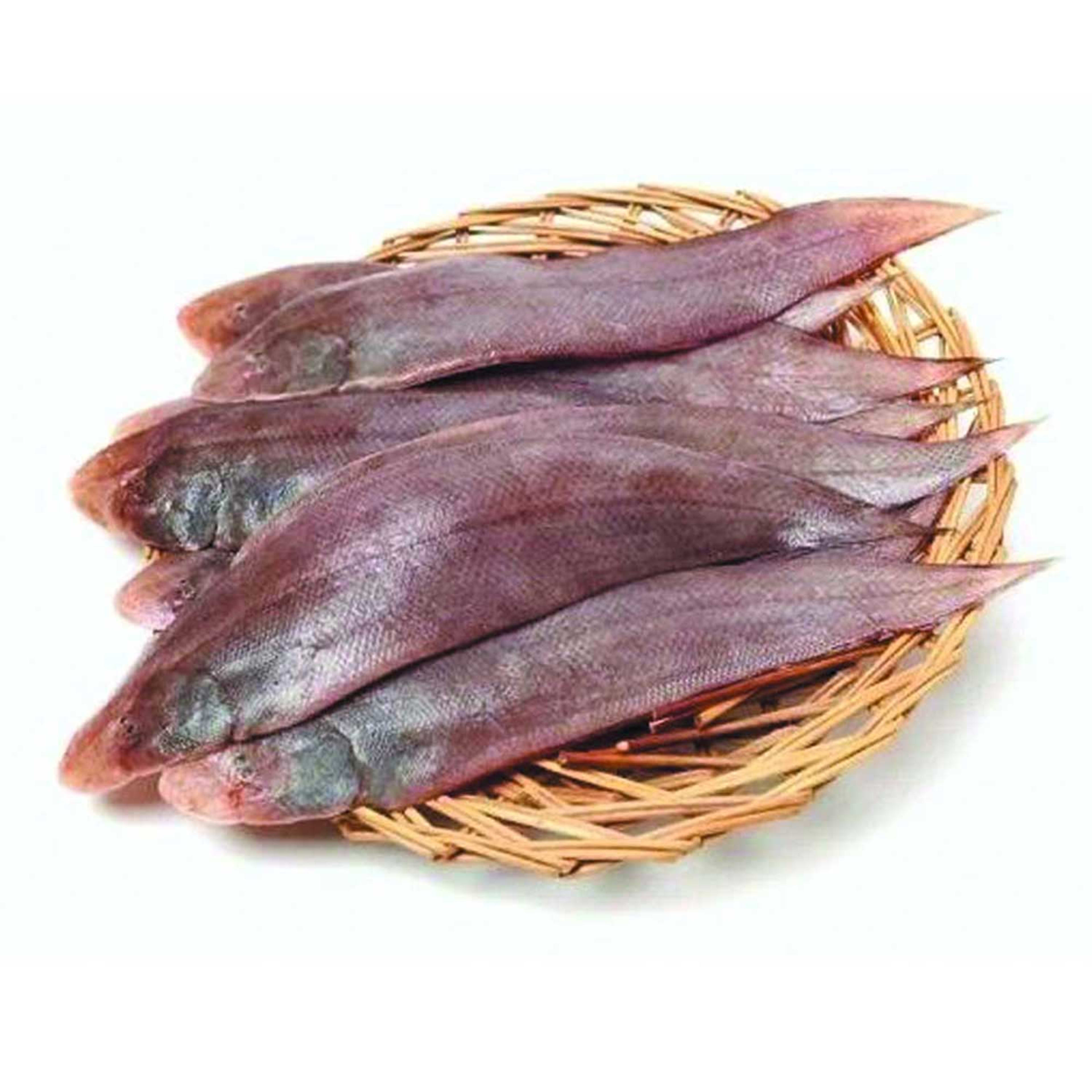 Sole Fish Oman