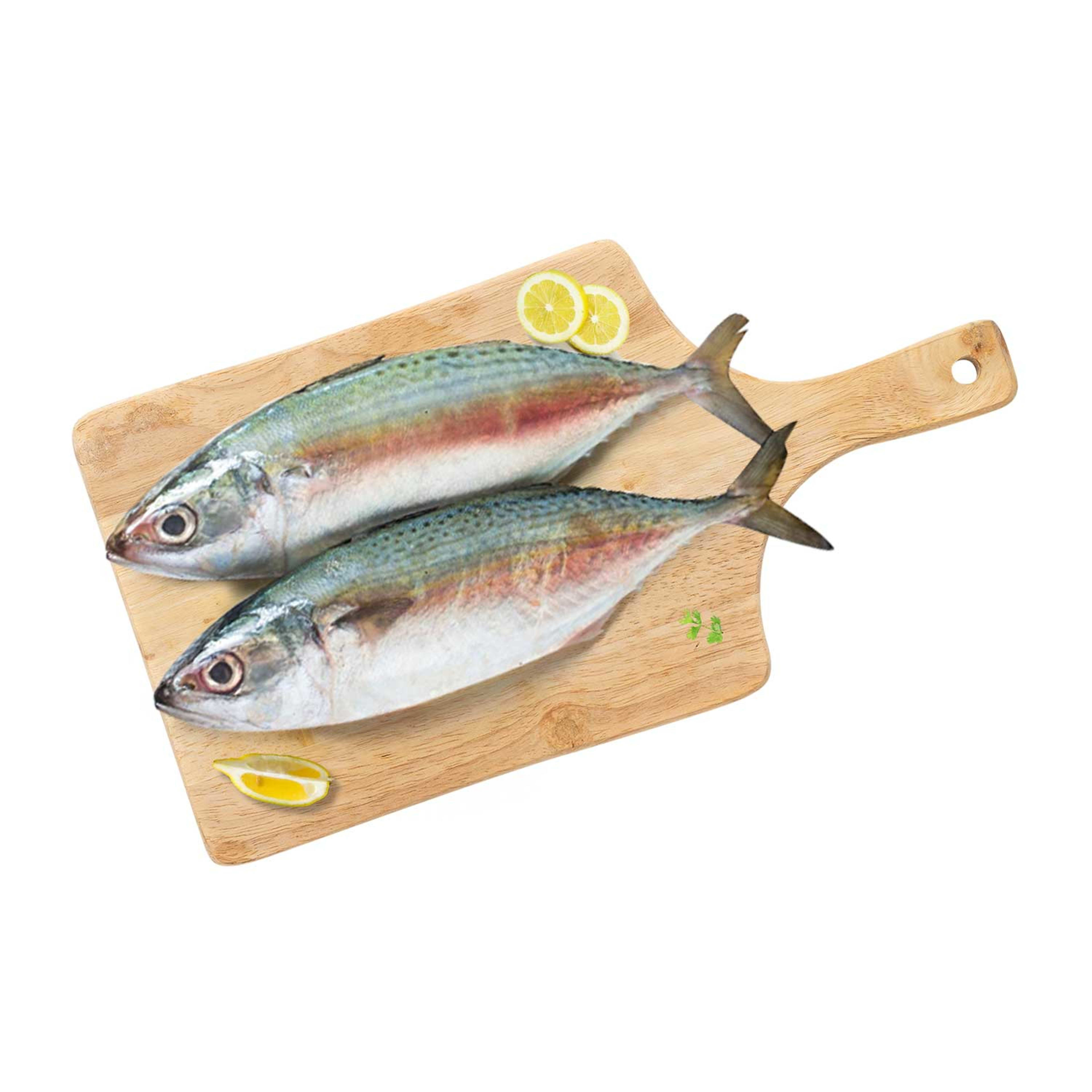 Mackerel Yemen