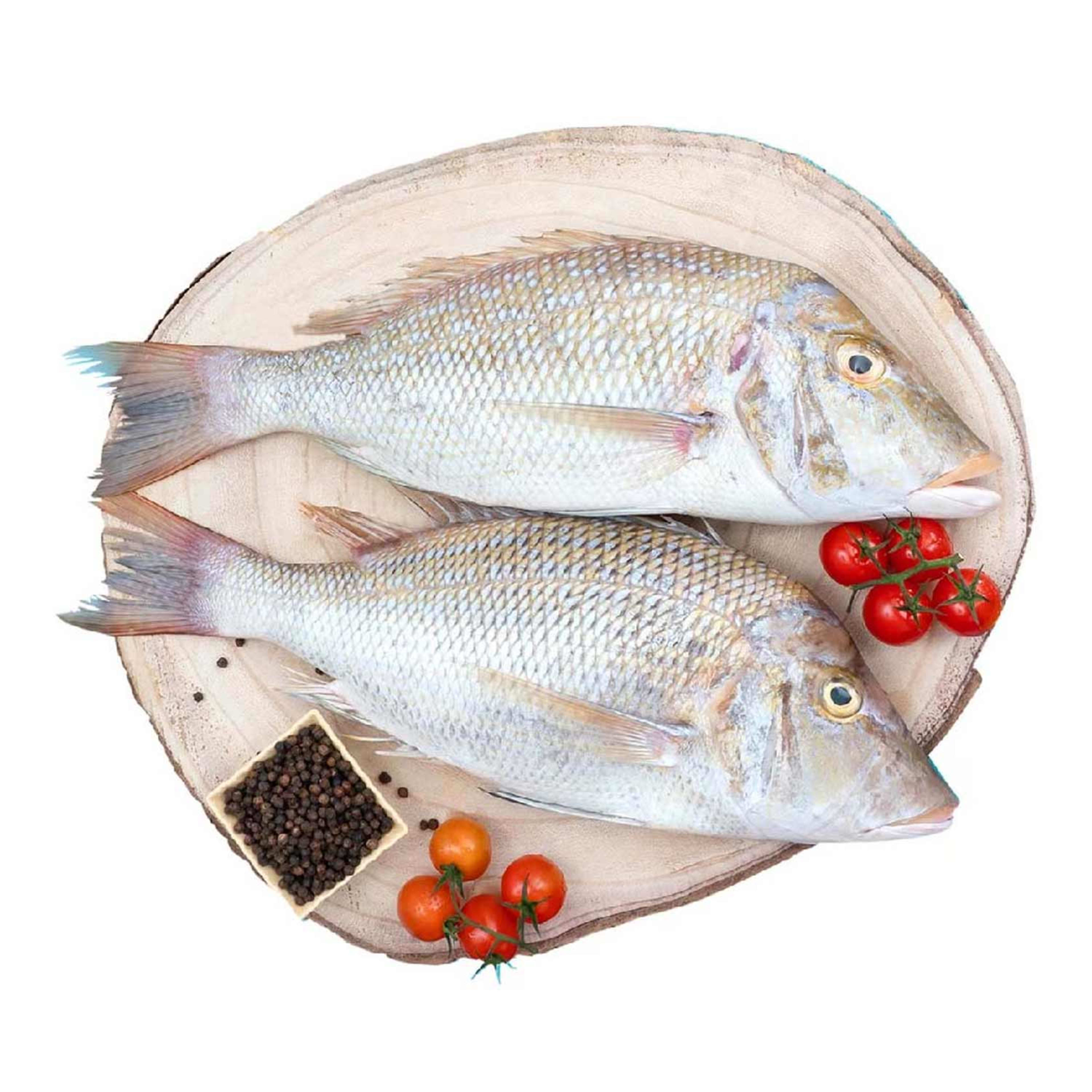 Sherry Fish Medium Qatar