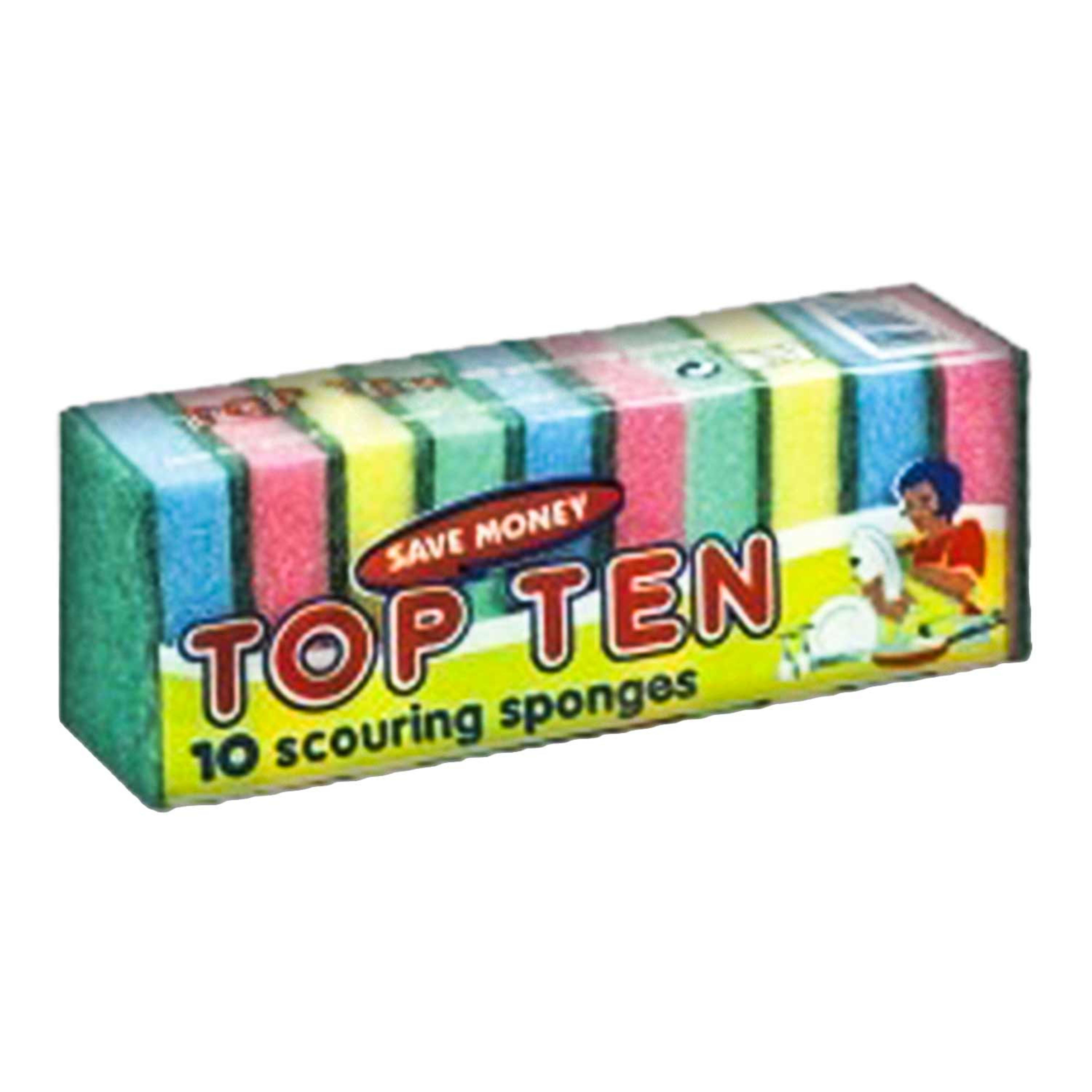 Scouring Sponge Top Ten
