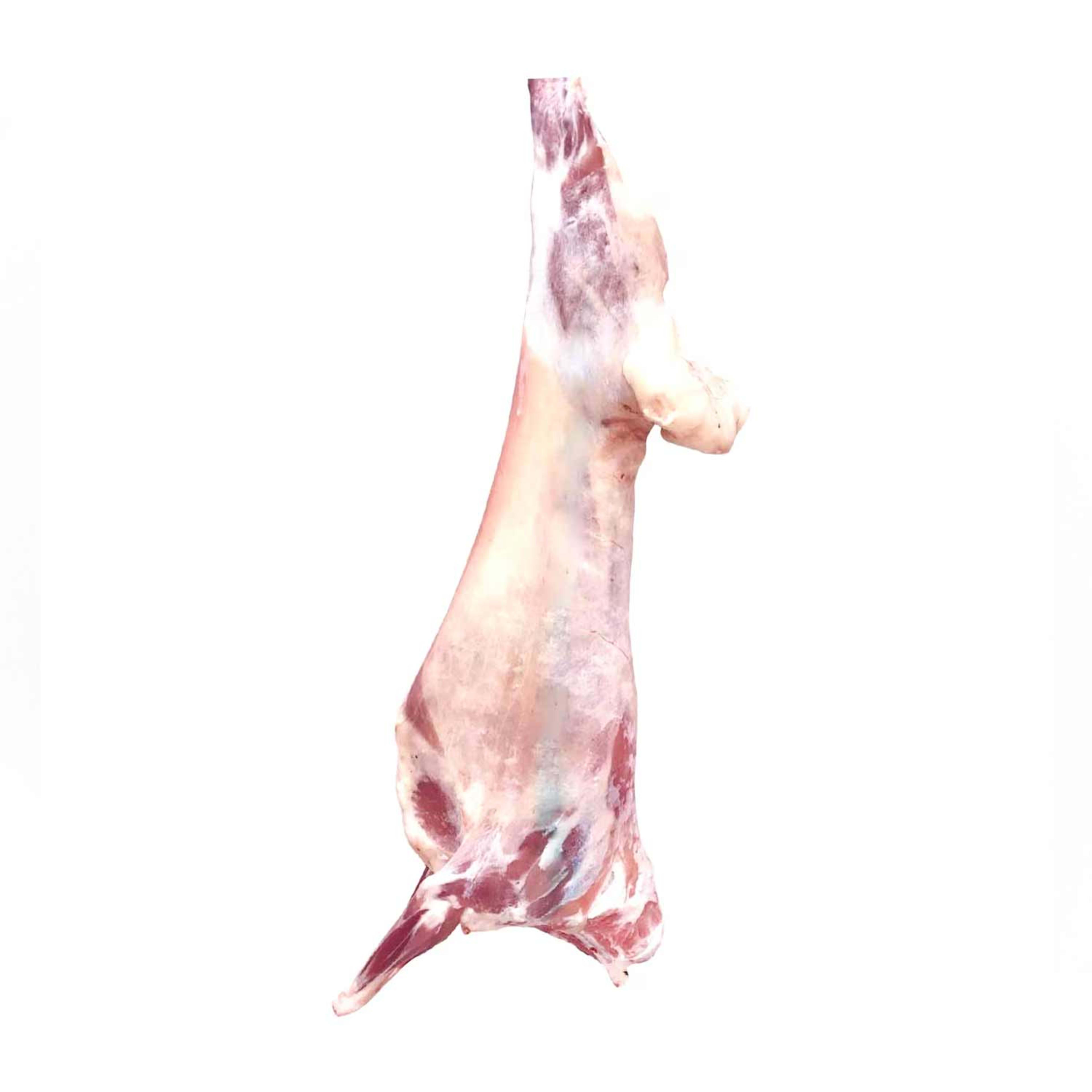 Saudi Lamb (local Slaughtered)