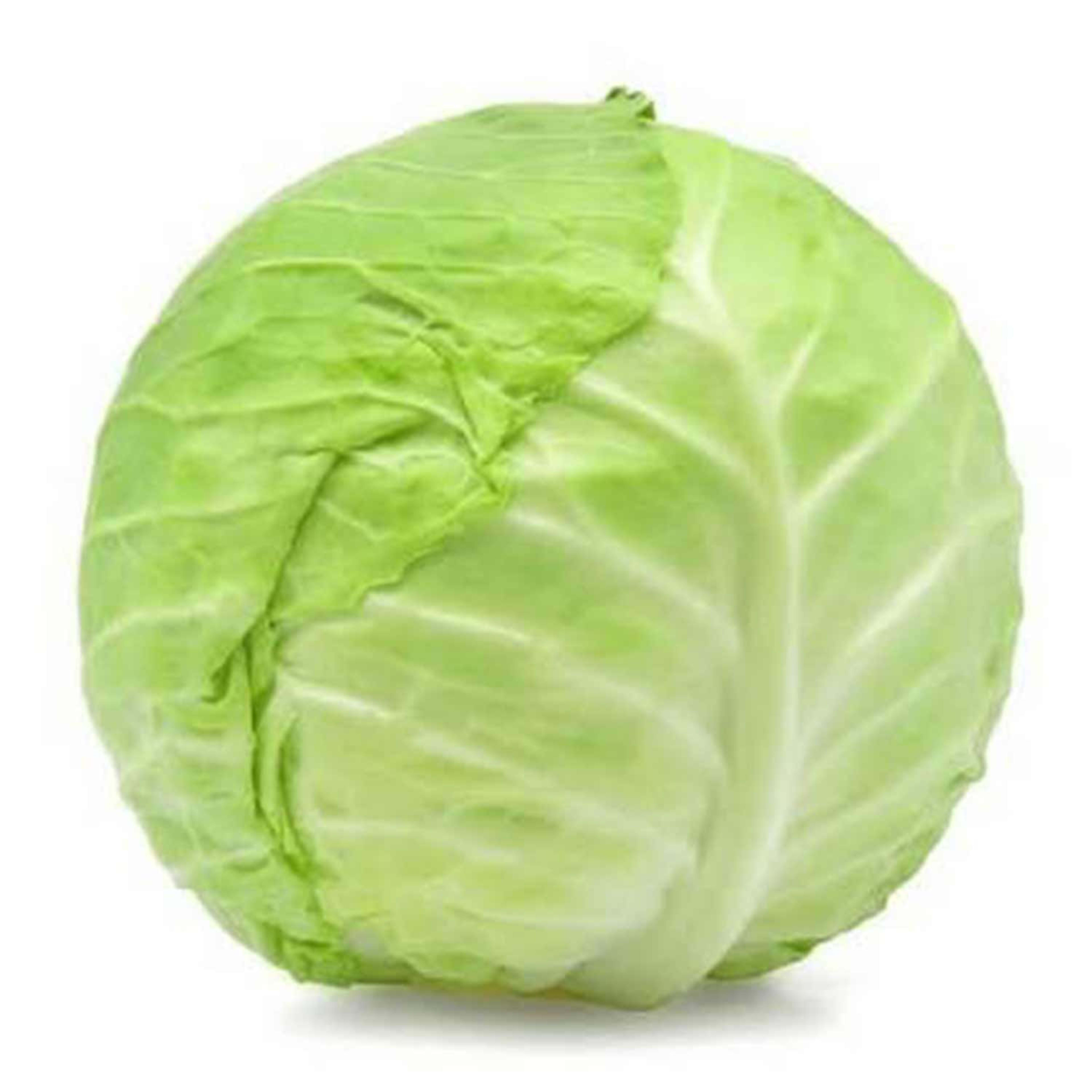 Cabbage Pakistan