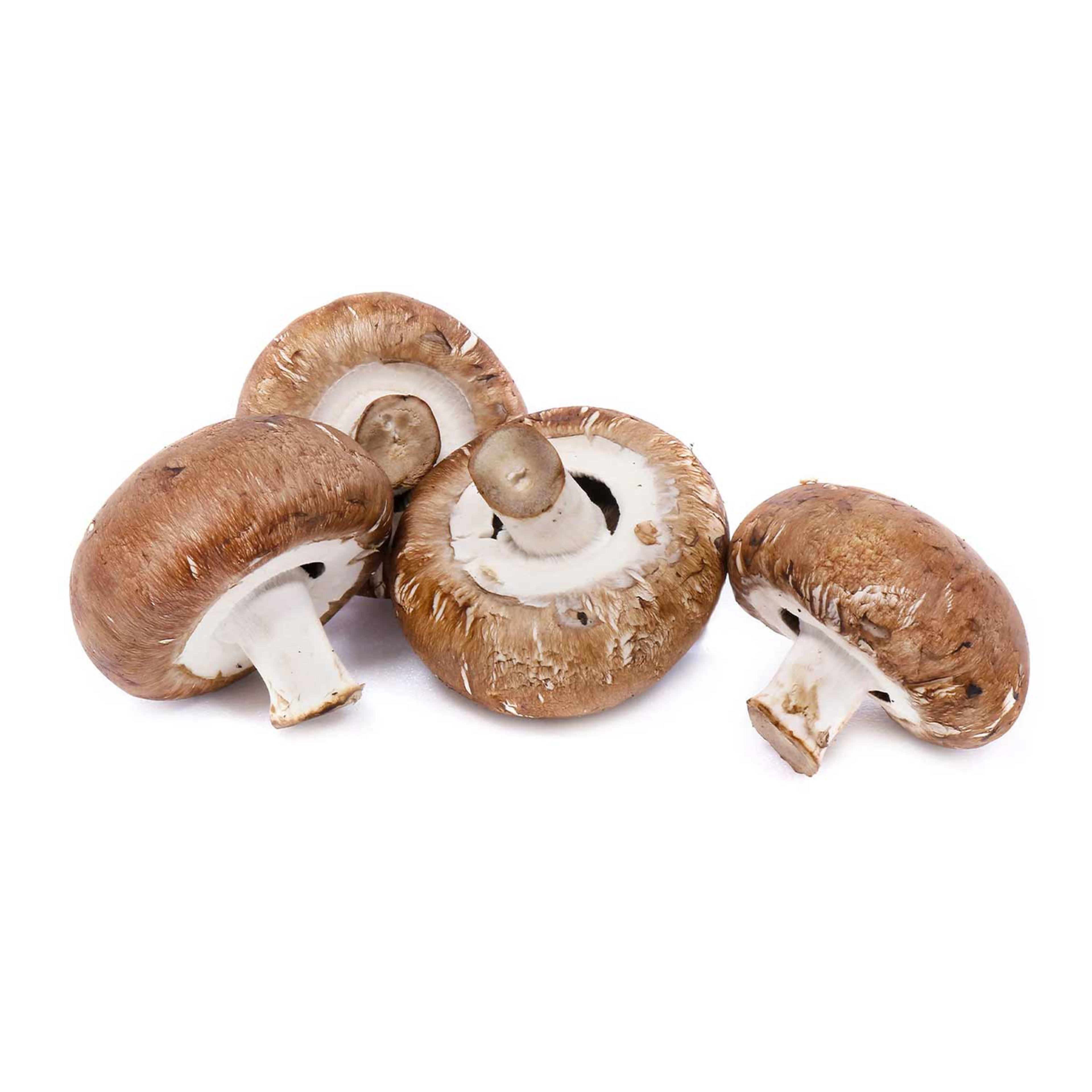 Mushroom Shiitake Holland -
