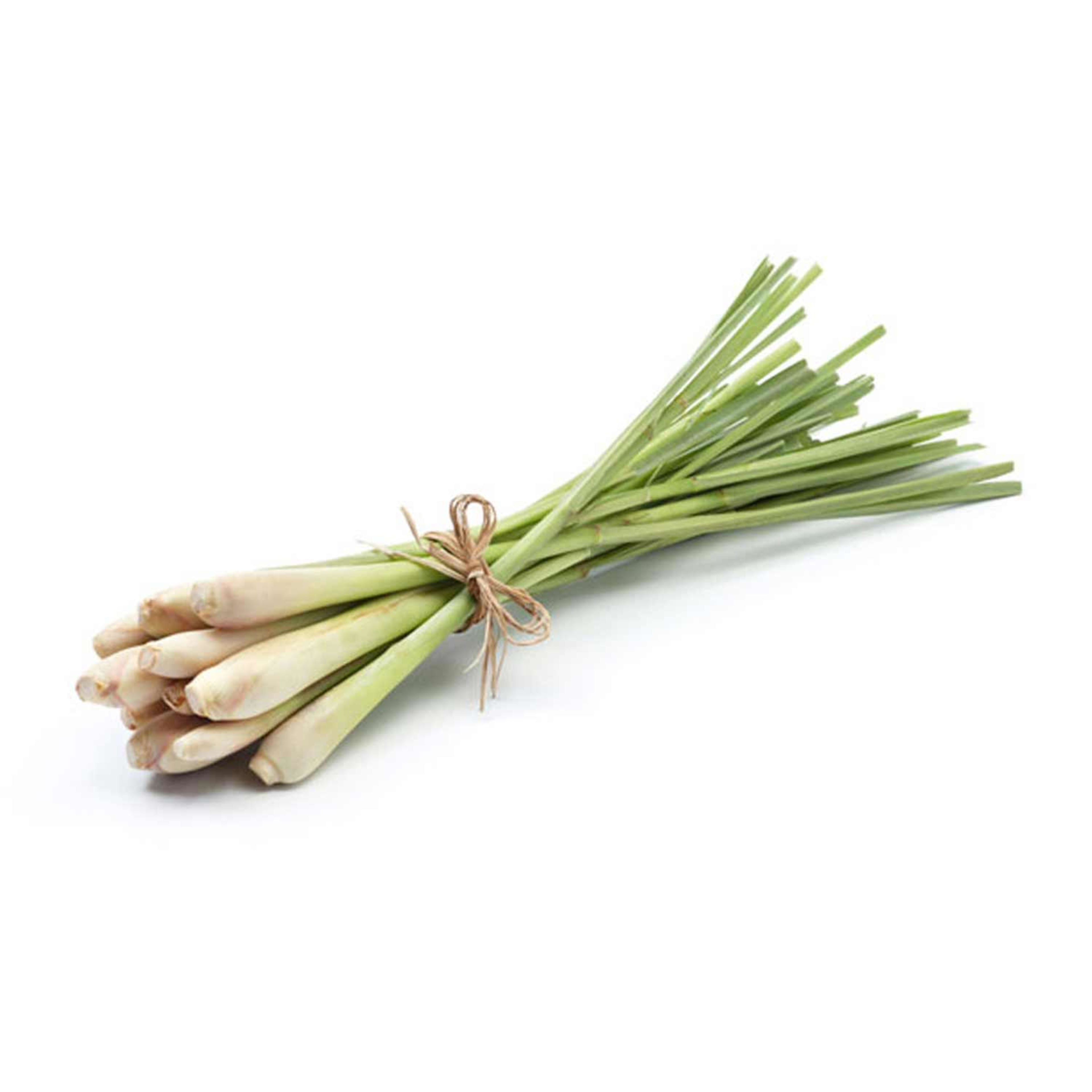 Lemon Grass Indonesia