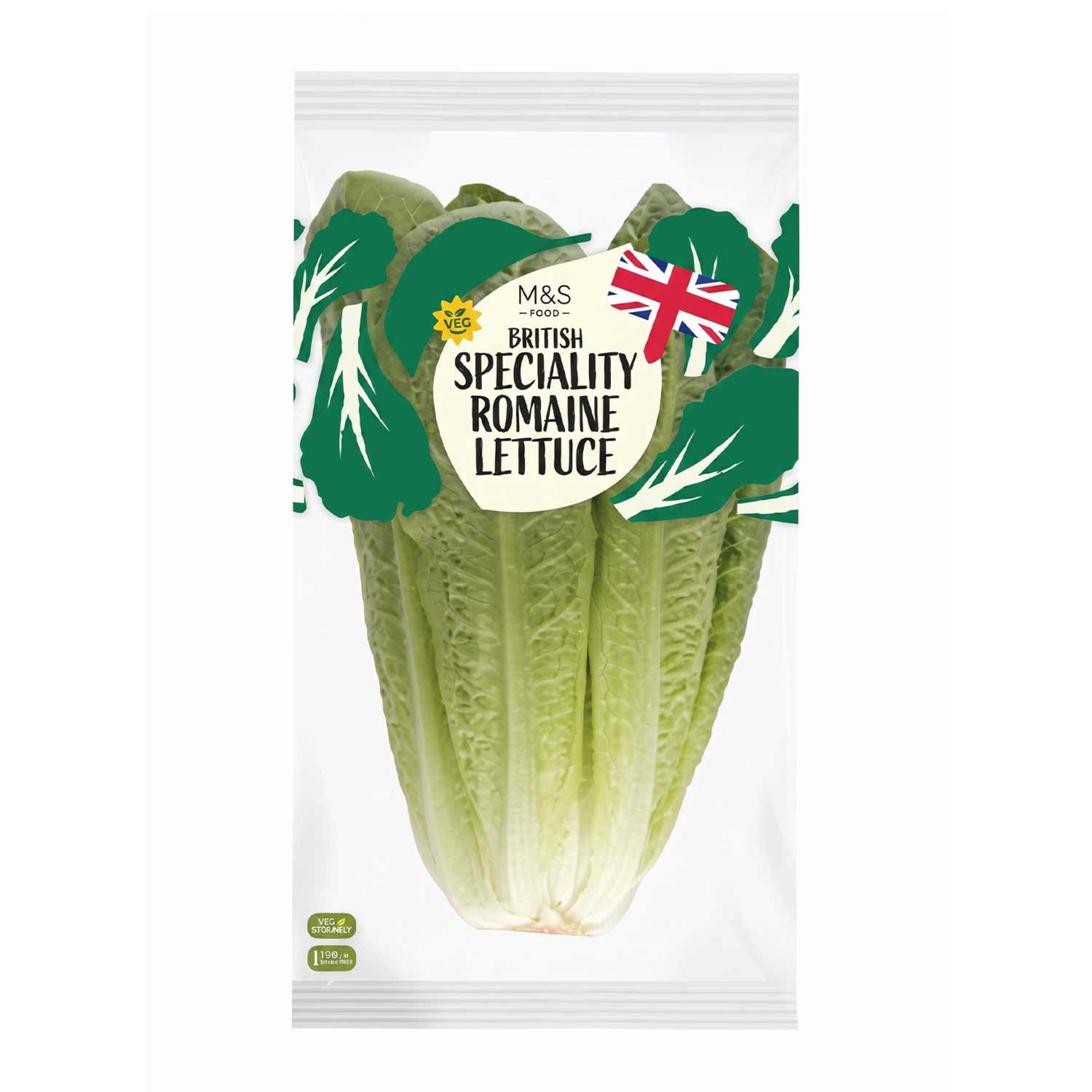 Lettuce Romana Holland
