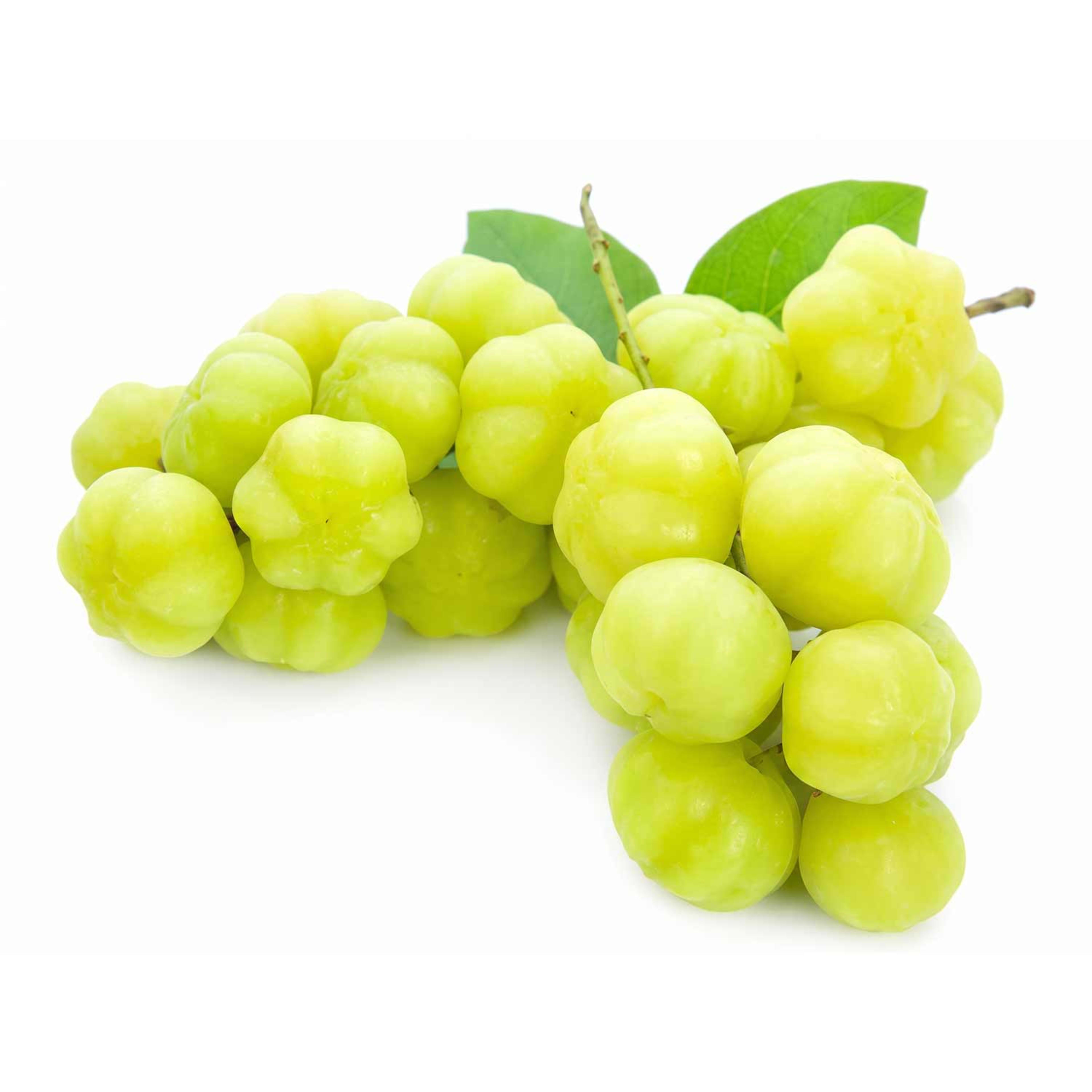 Star Gooseberry India Pkt