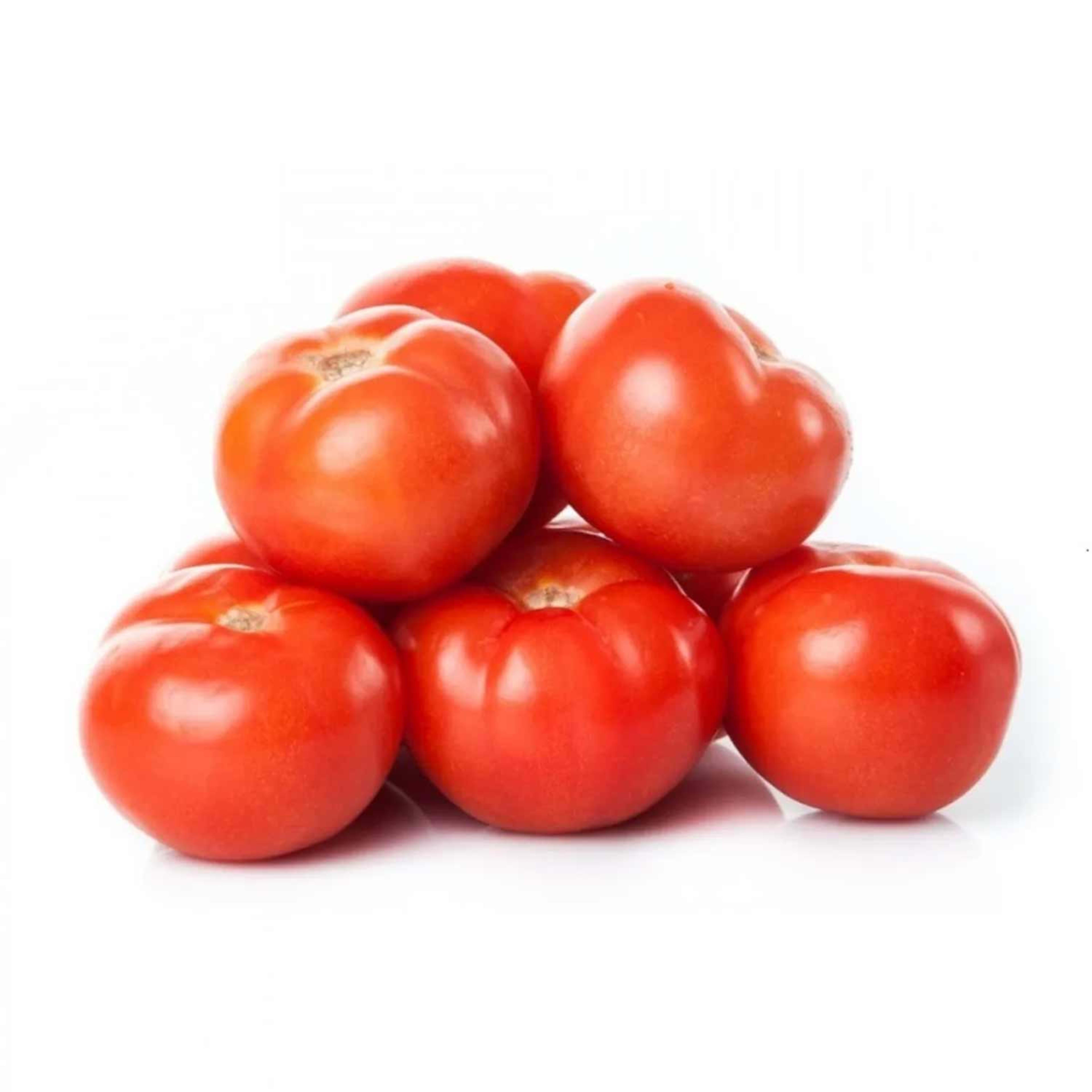 Tomato Syria