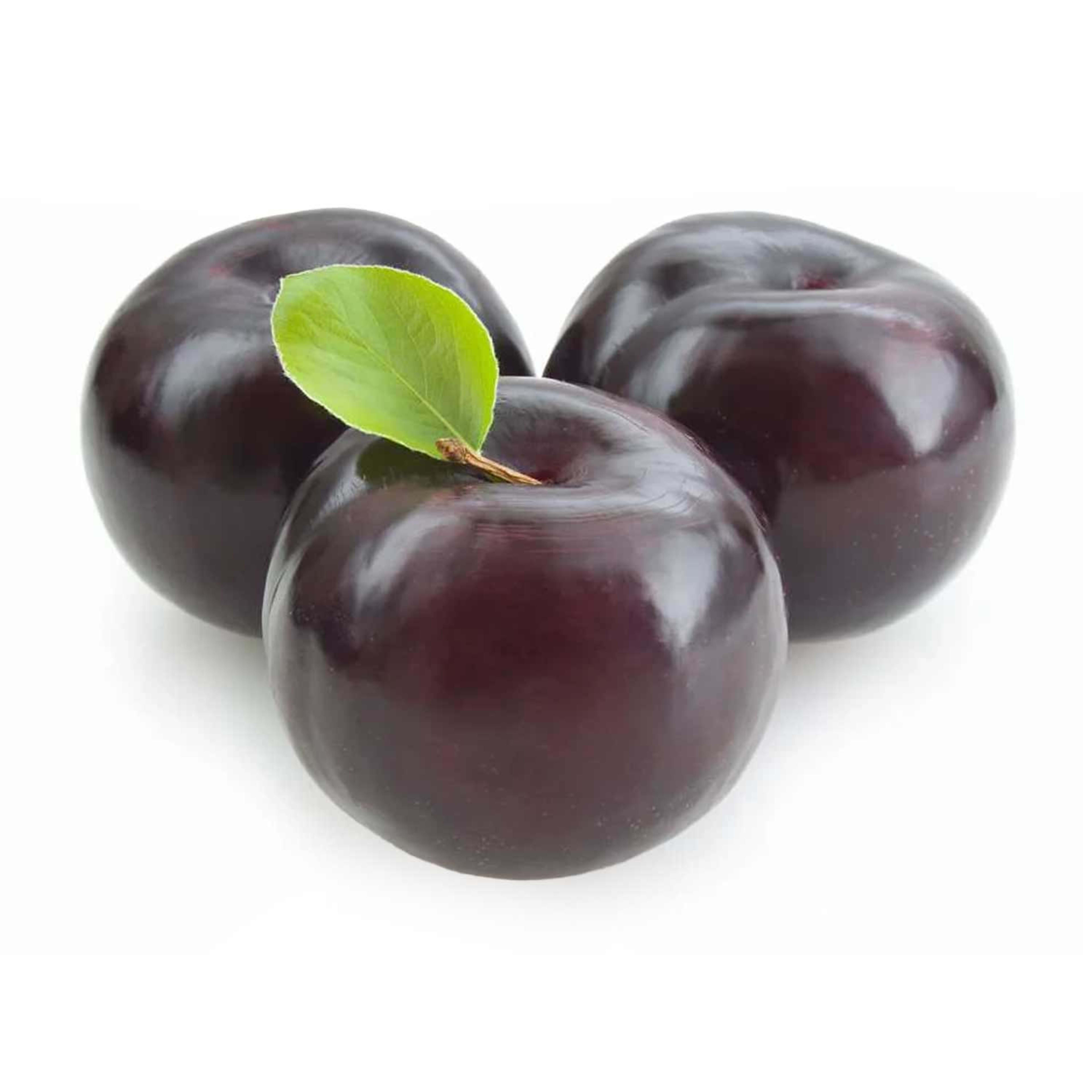 Plum Black South Africa