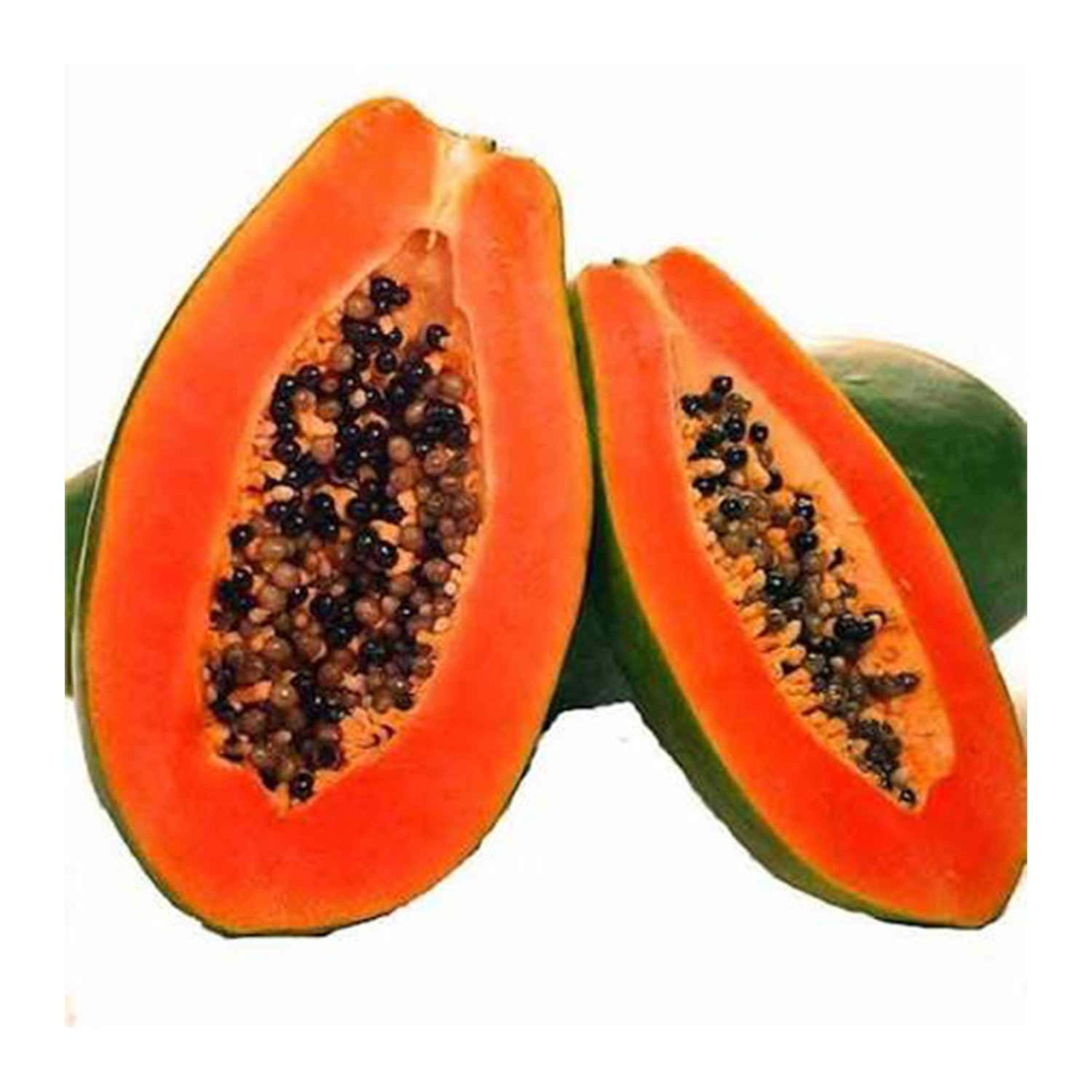 Red Lady Papaya Srilanka