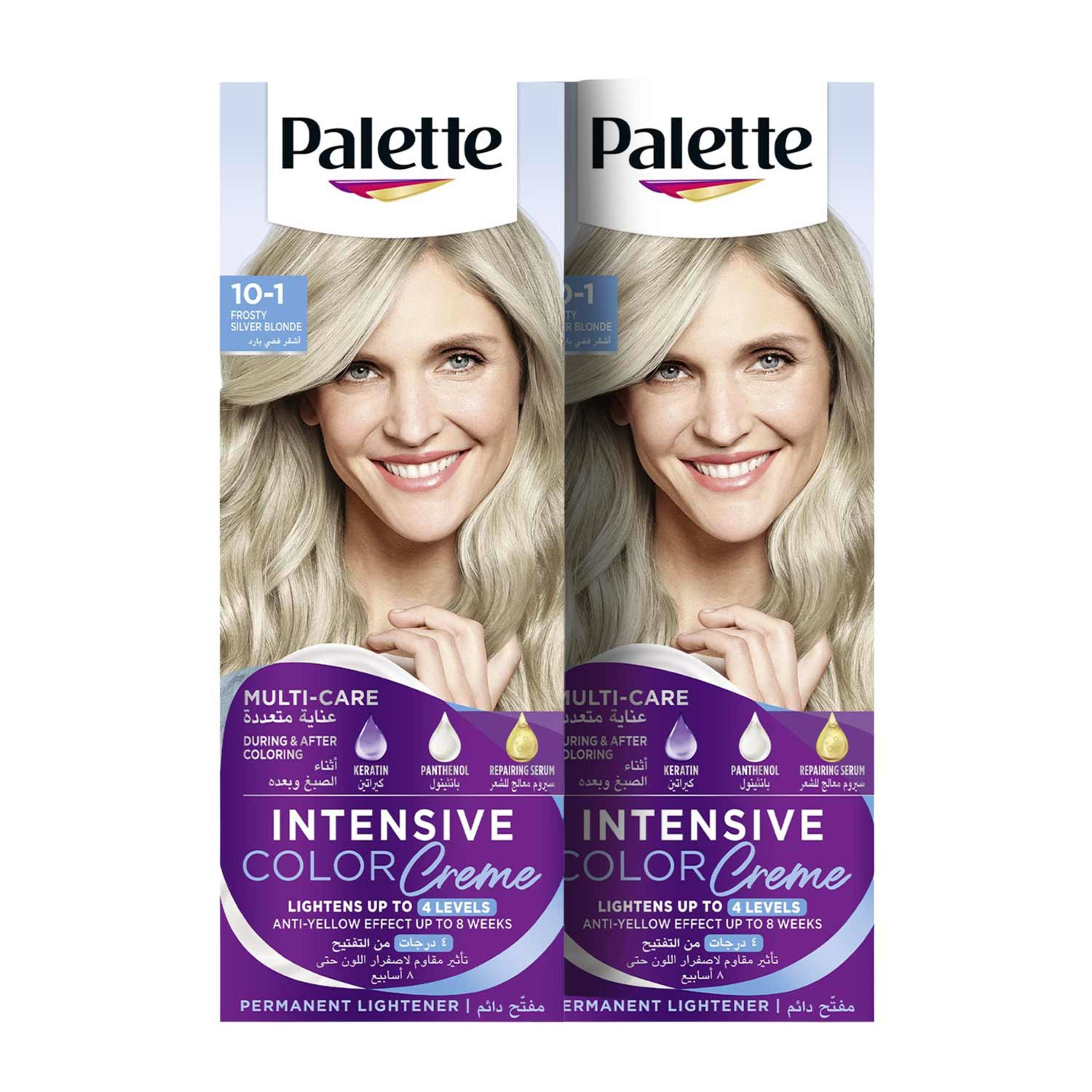 Schwarzkopf Palette Hair Color Frosty Silver Blonde 10-1 2x110ml Promo