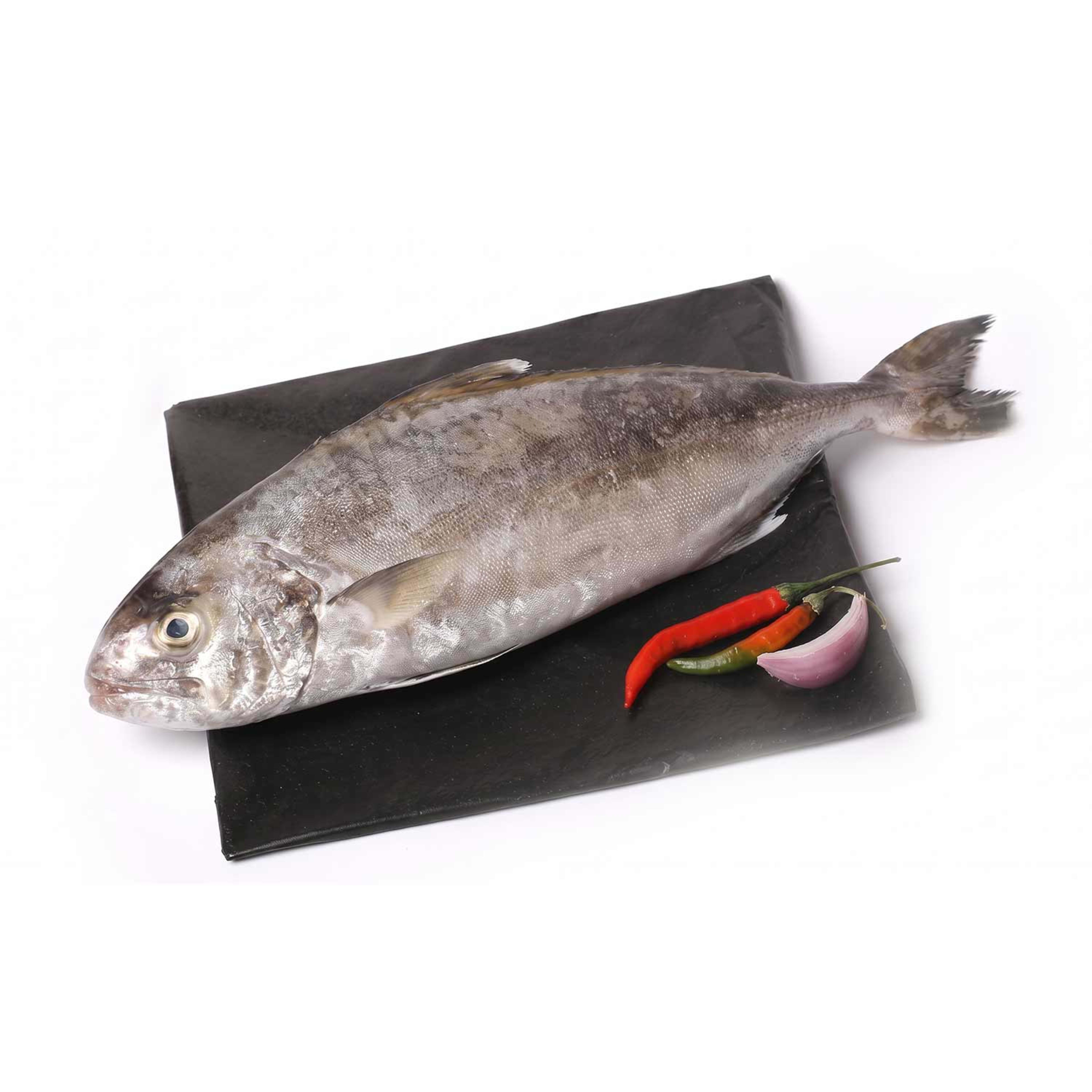 Hamam Black Fish
