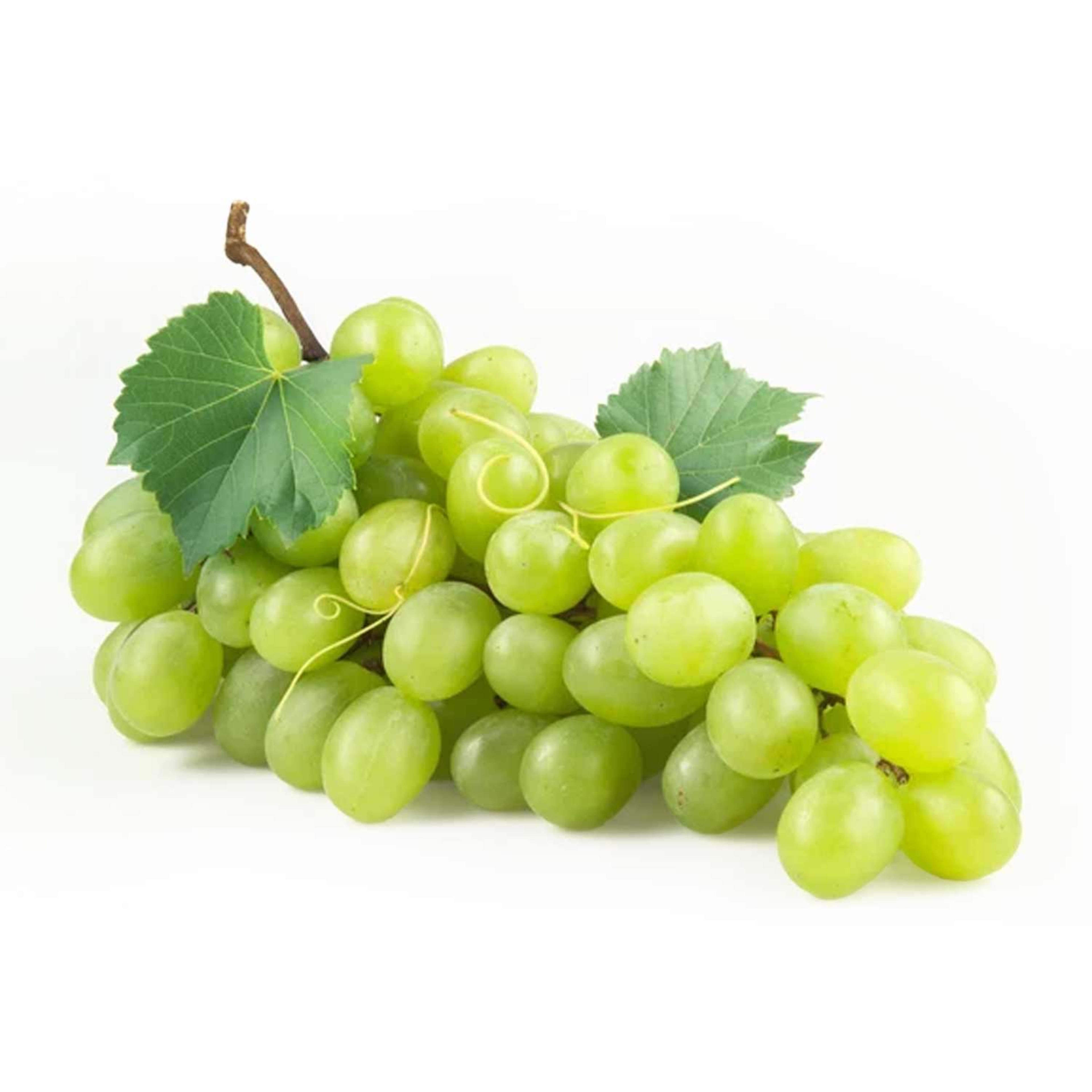 Grapes White Seedless (egypt)