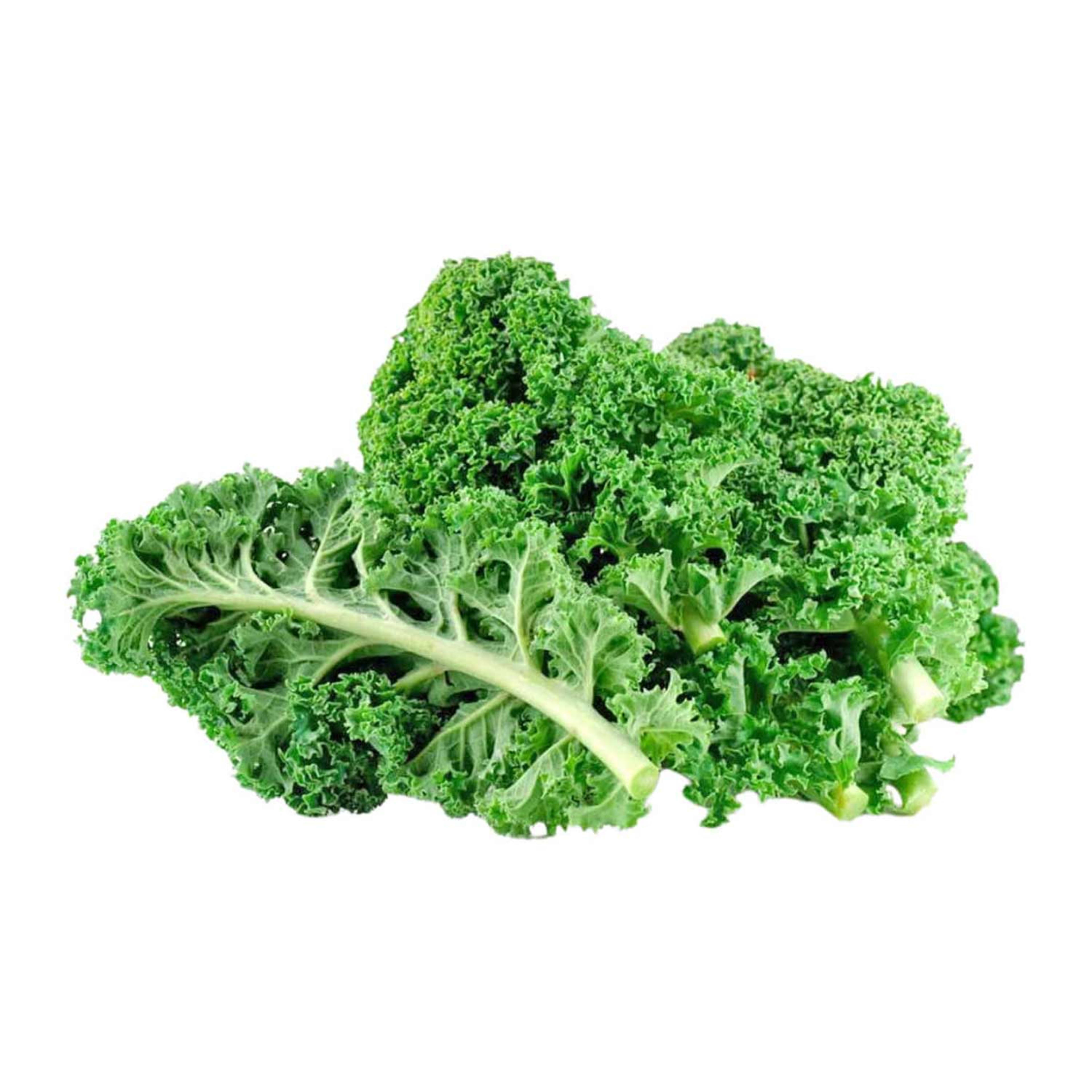 Kale Holland