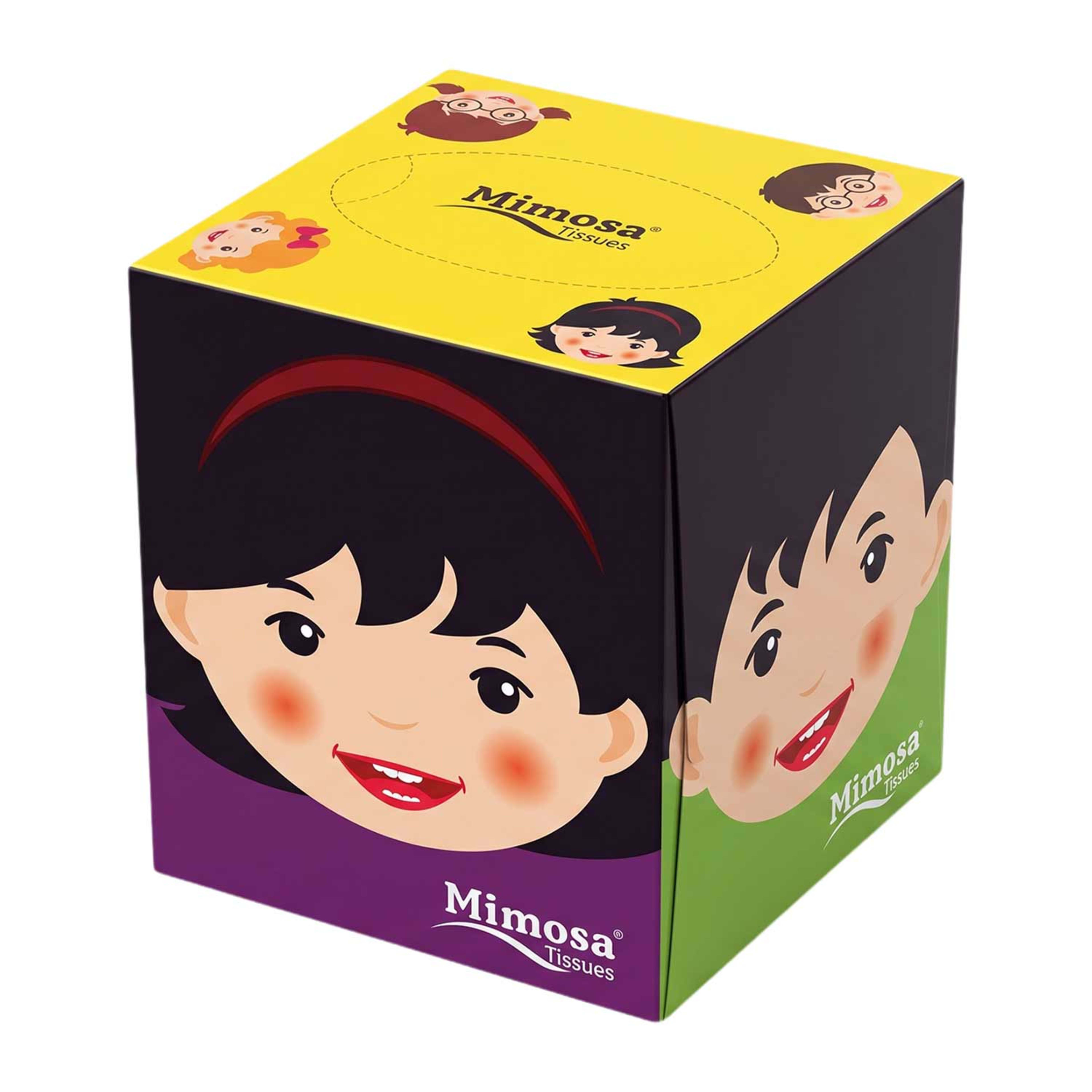 Mimosa Facial Tissues 2ply 21x20cm